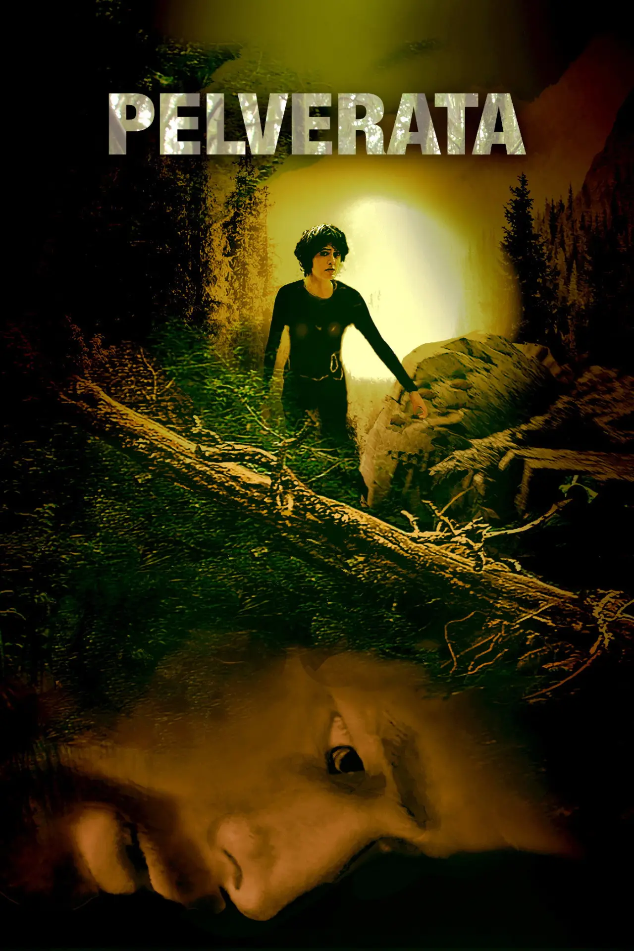 Movie poster "Pelverata"