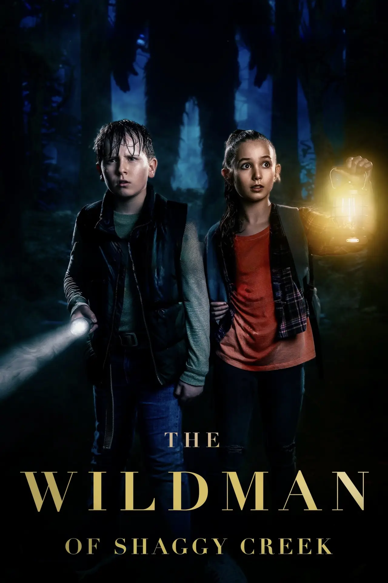 Movie poster "The Wildman of Shaggy Creek"