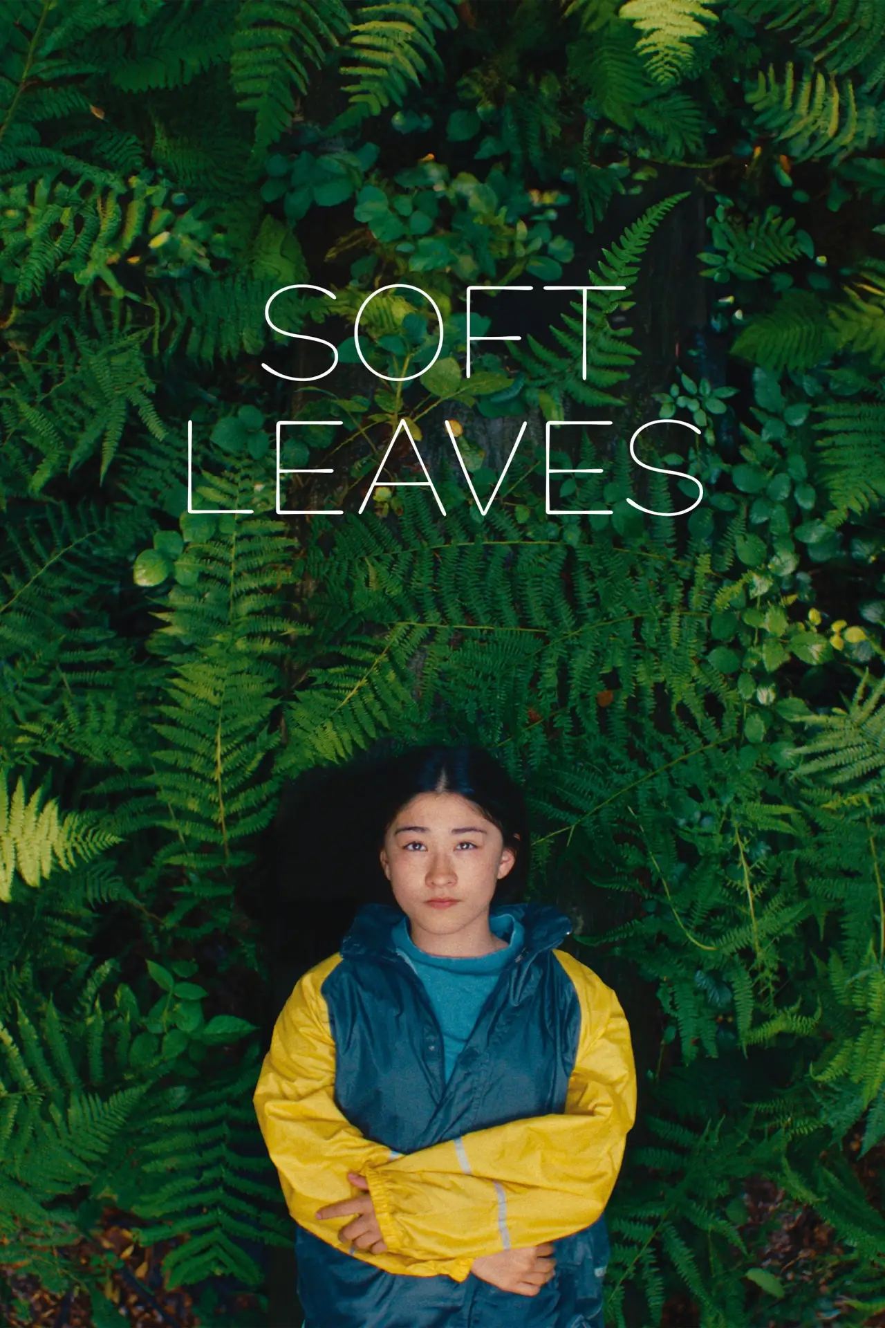 Movie poster "Soft Leaves"