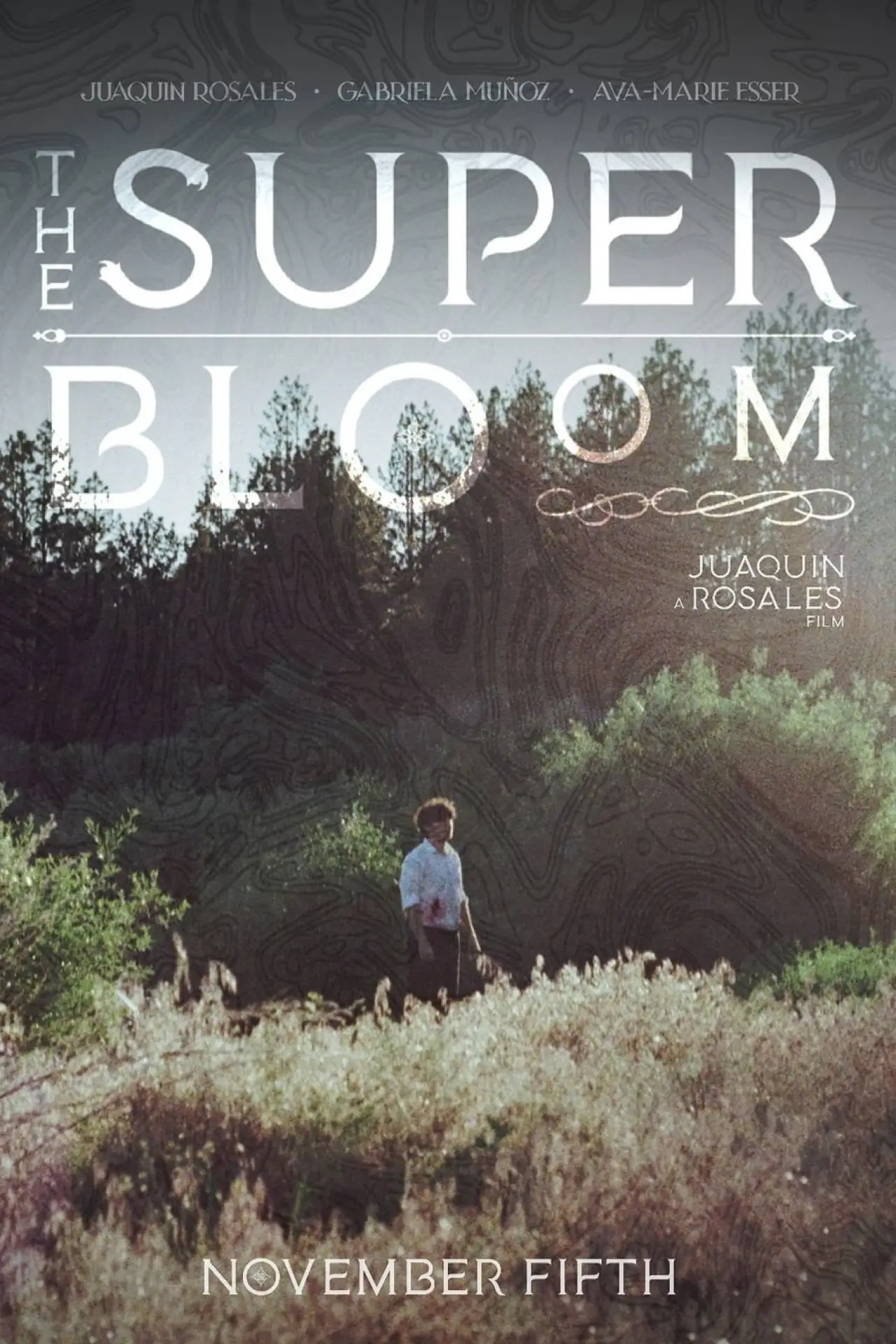 Movie poster "The Superbloom"