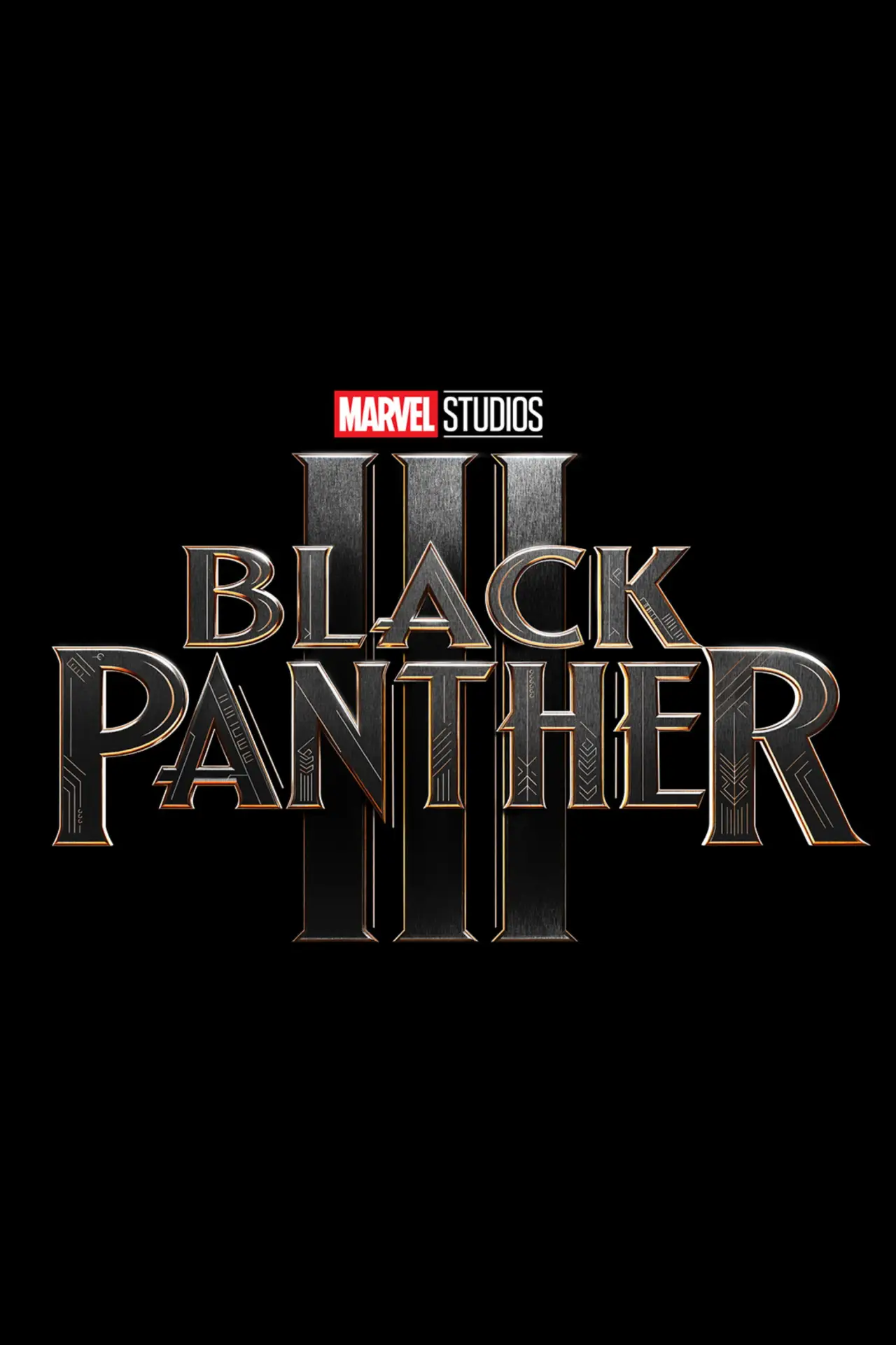 Movie poster "Black Panther 3"