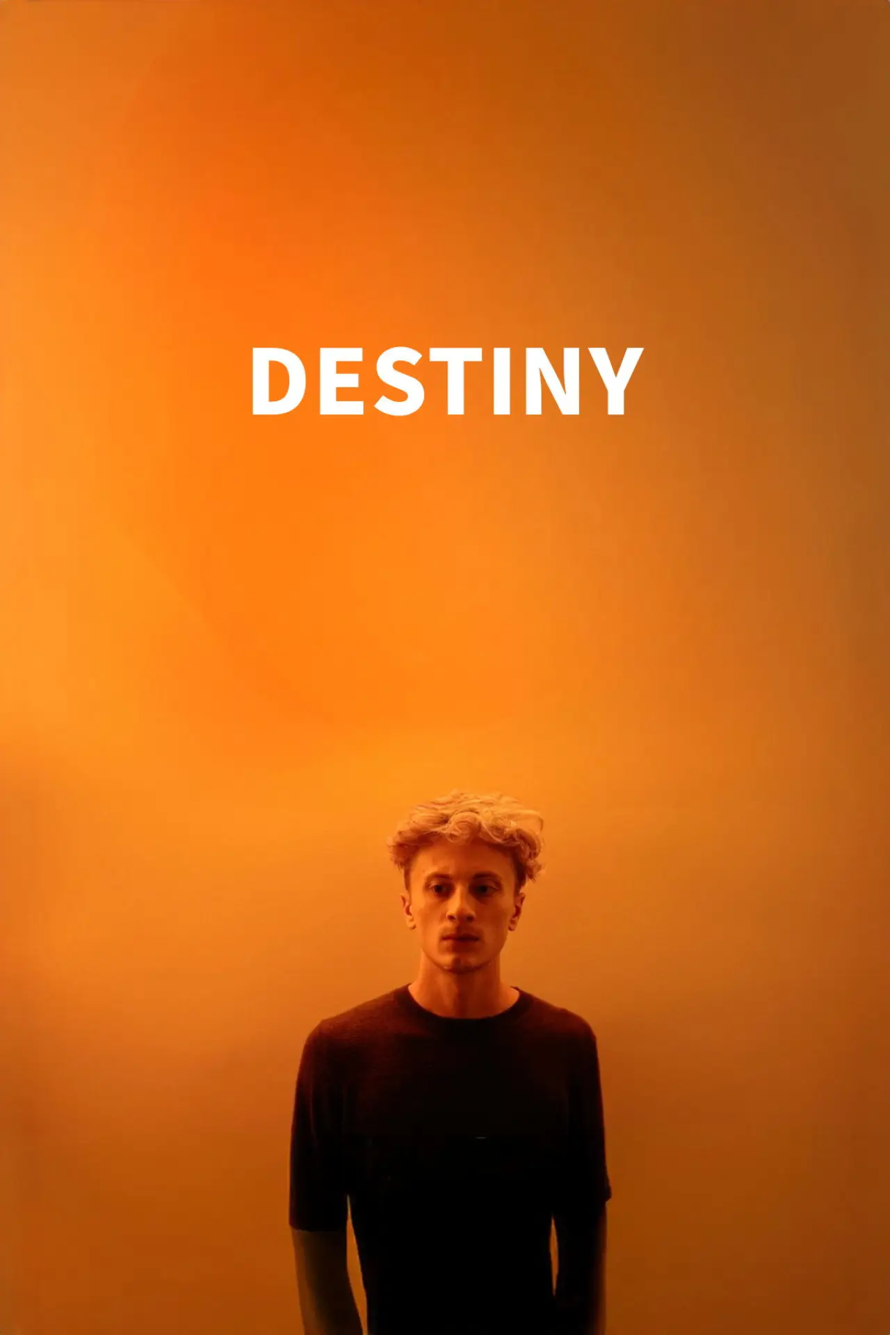 Movie poster "Destiny"