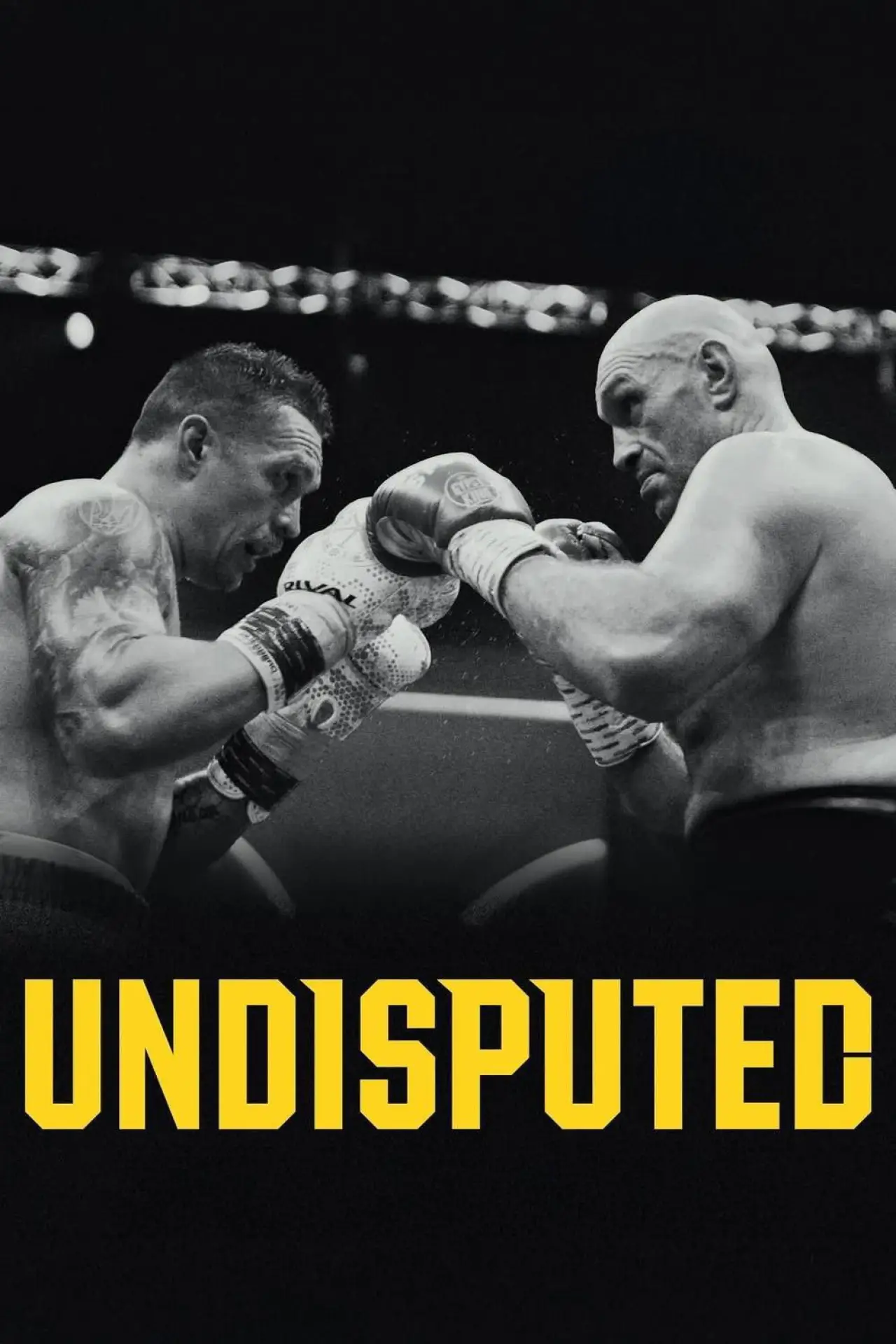 Movie poster "Undisputed"