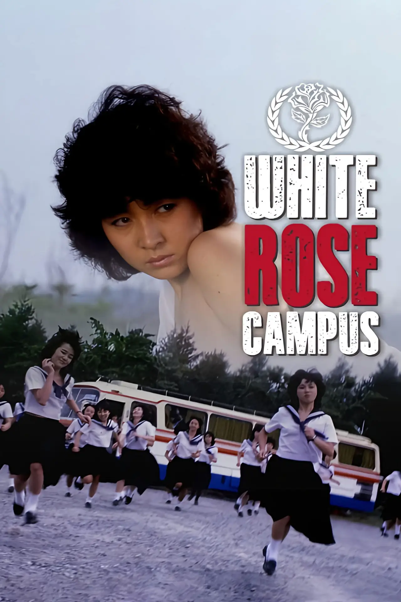 Movie poster "White Rose Campus"
