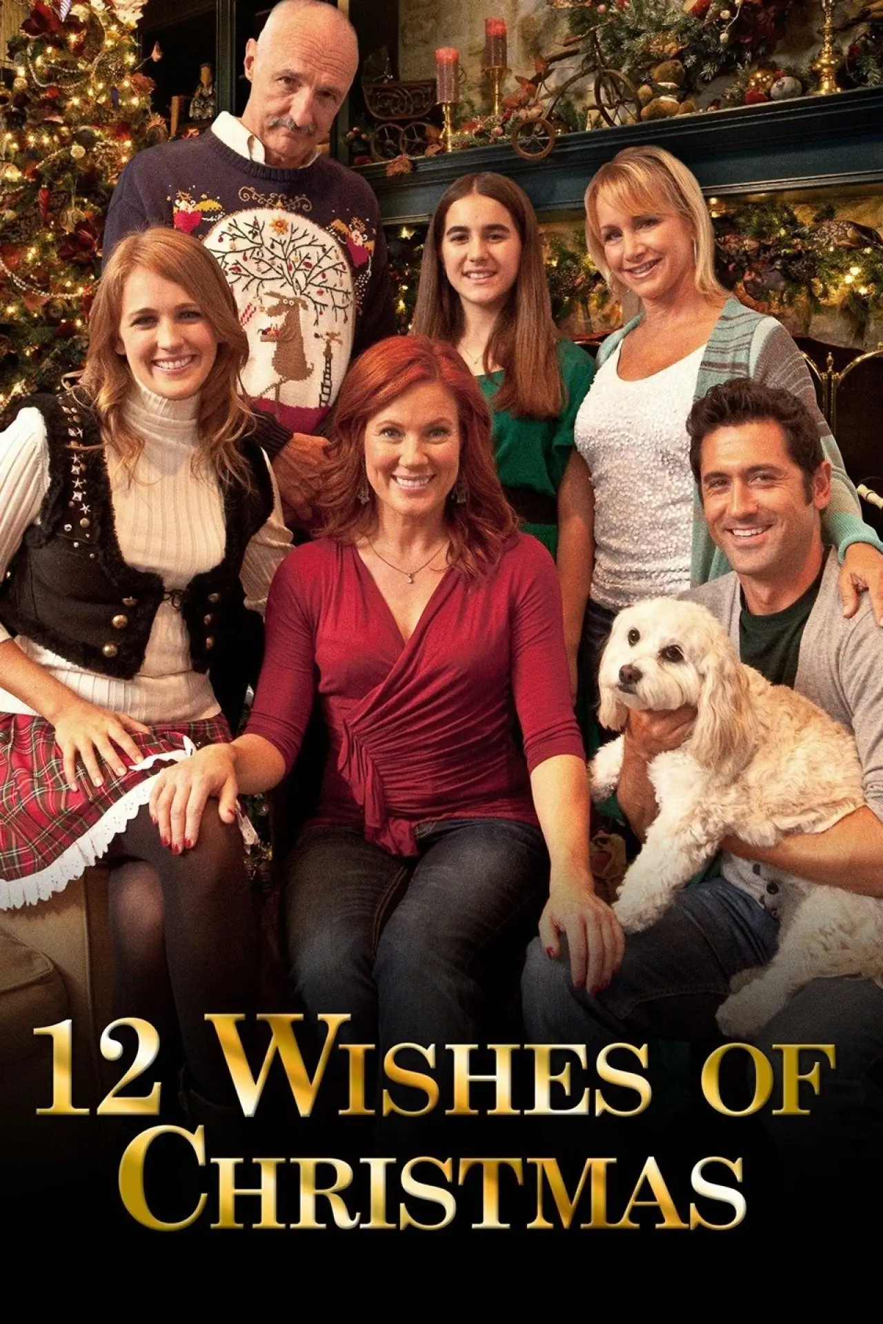 Movie poster "12 Wishes of Christmas"