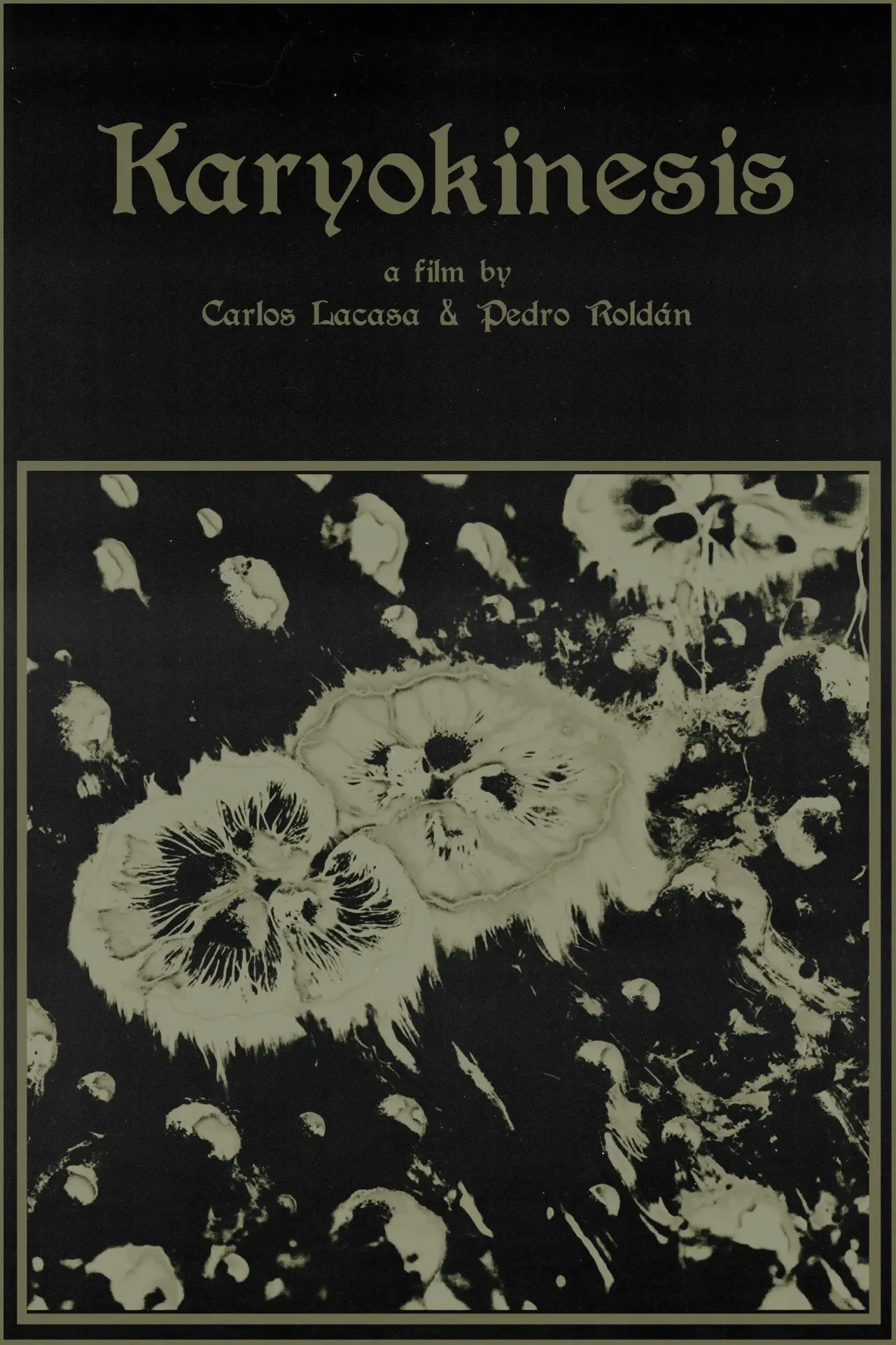 Movie poster "Karyokinesis"