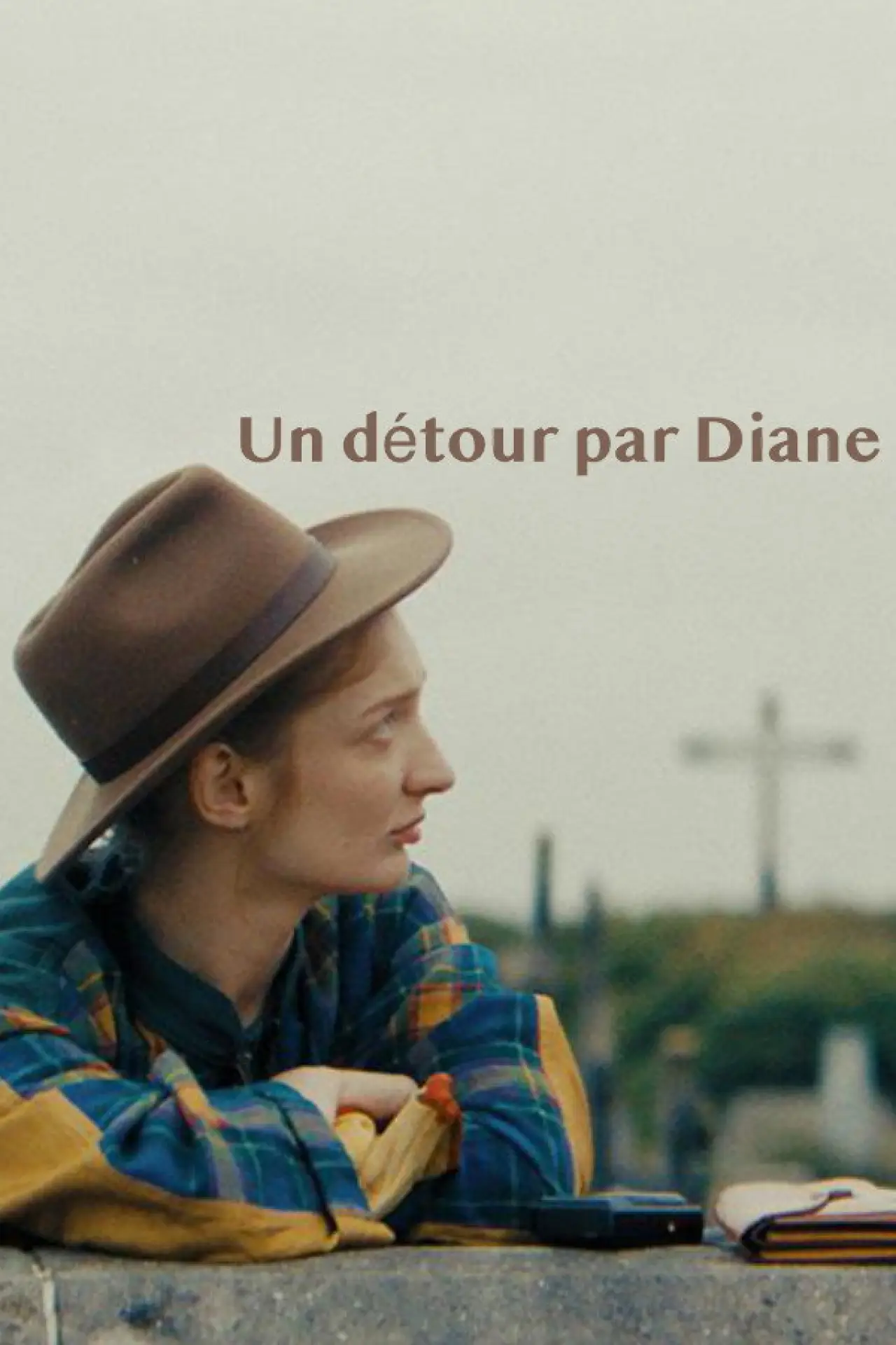 Movie poster "Diane In The Loop"