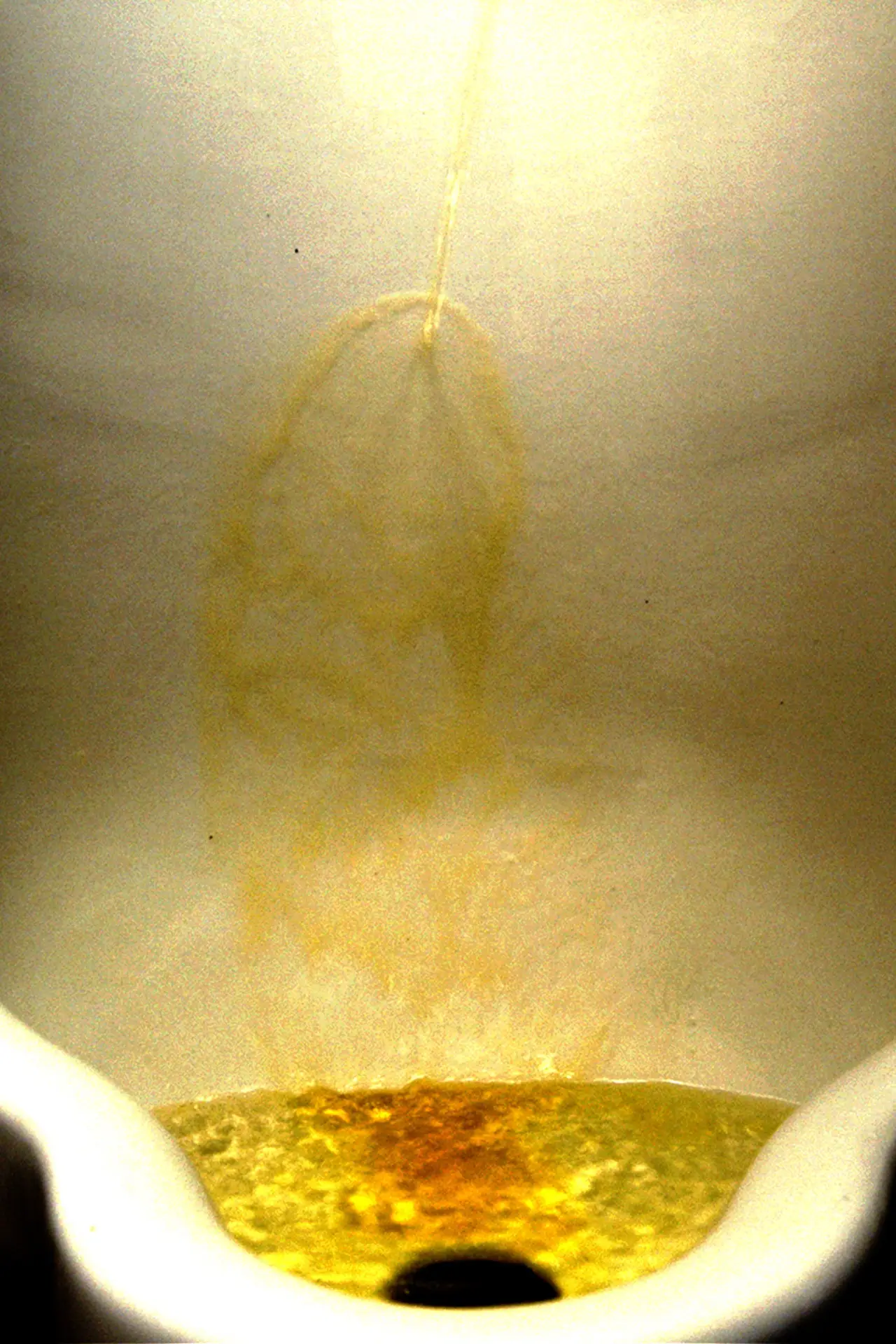 Movie poster "Piss"