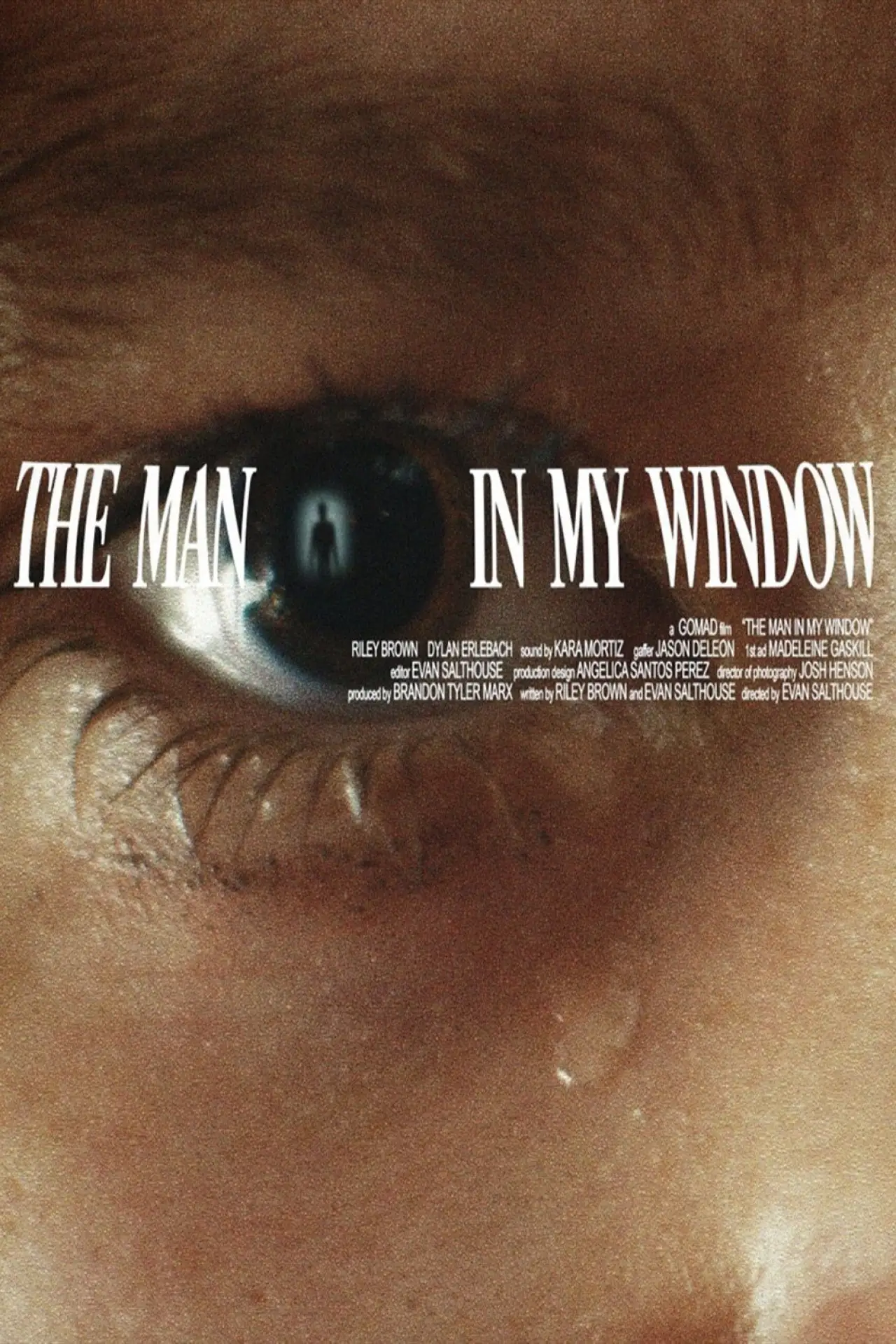 Movie poster "The Man In My Window"