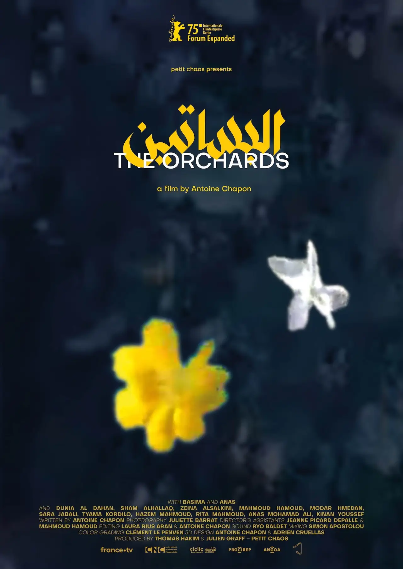 Movie poster "The Orchards"