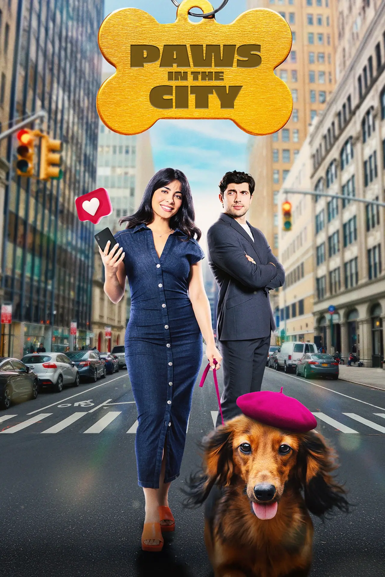 Movie poster "Paws in the City"