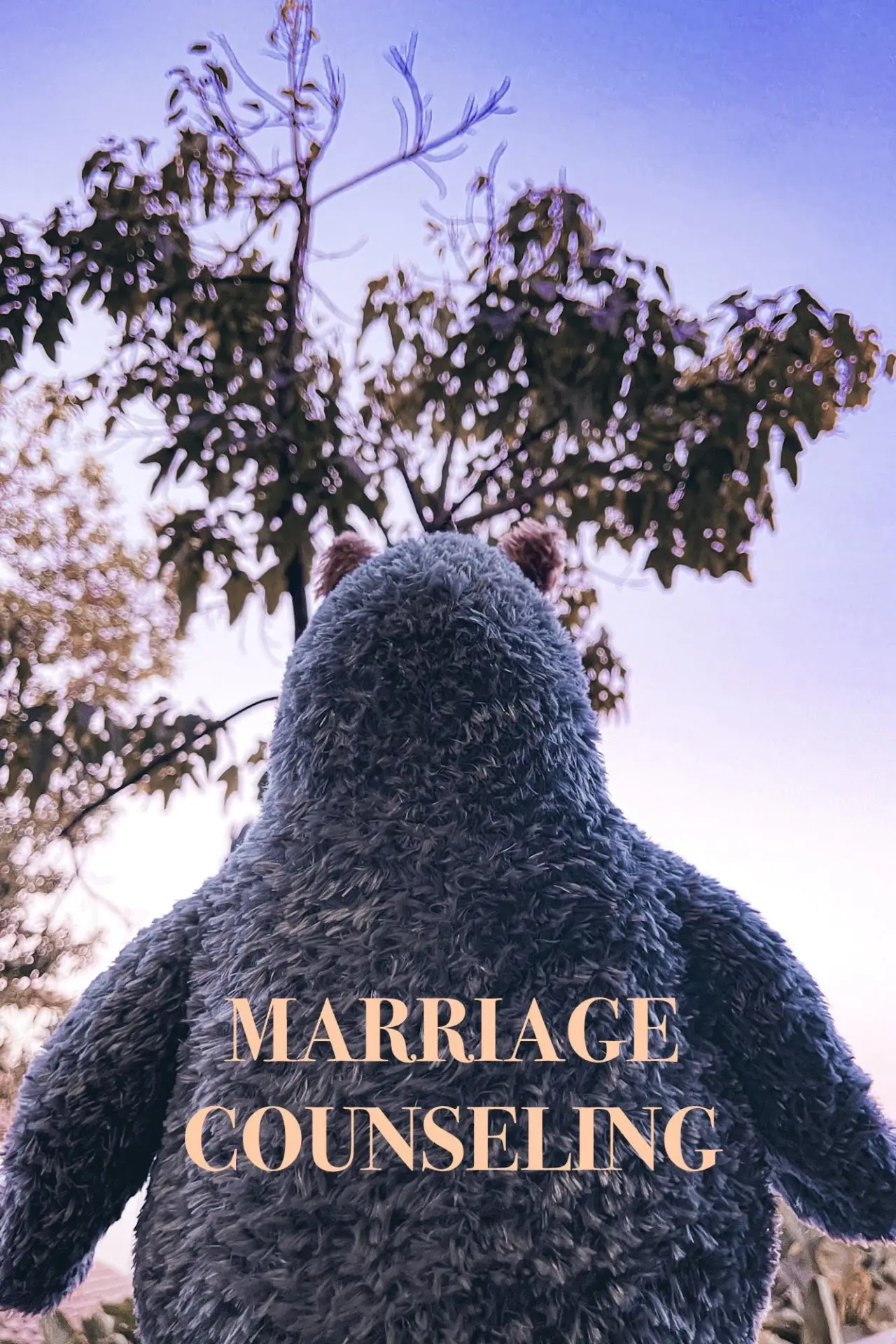 Movie poster "Marriage Counseling"