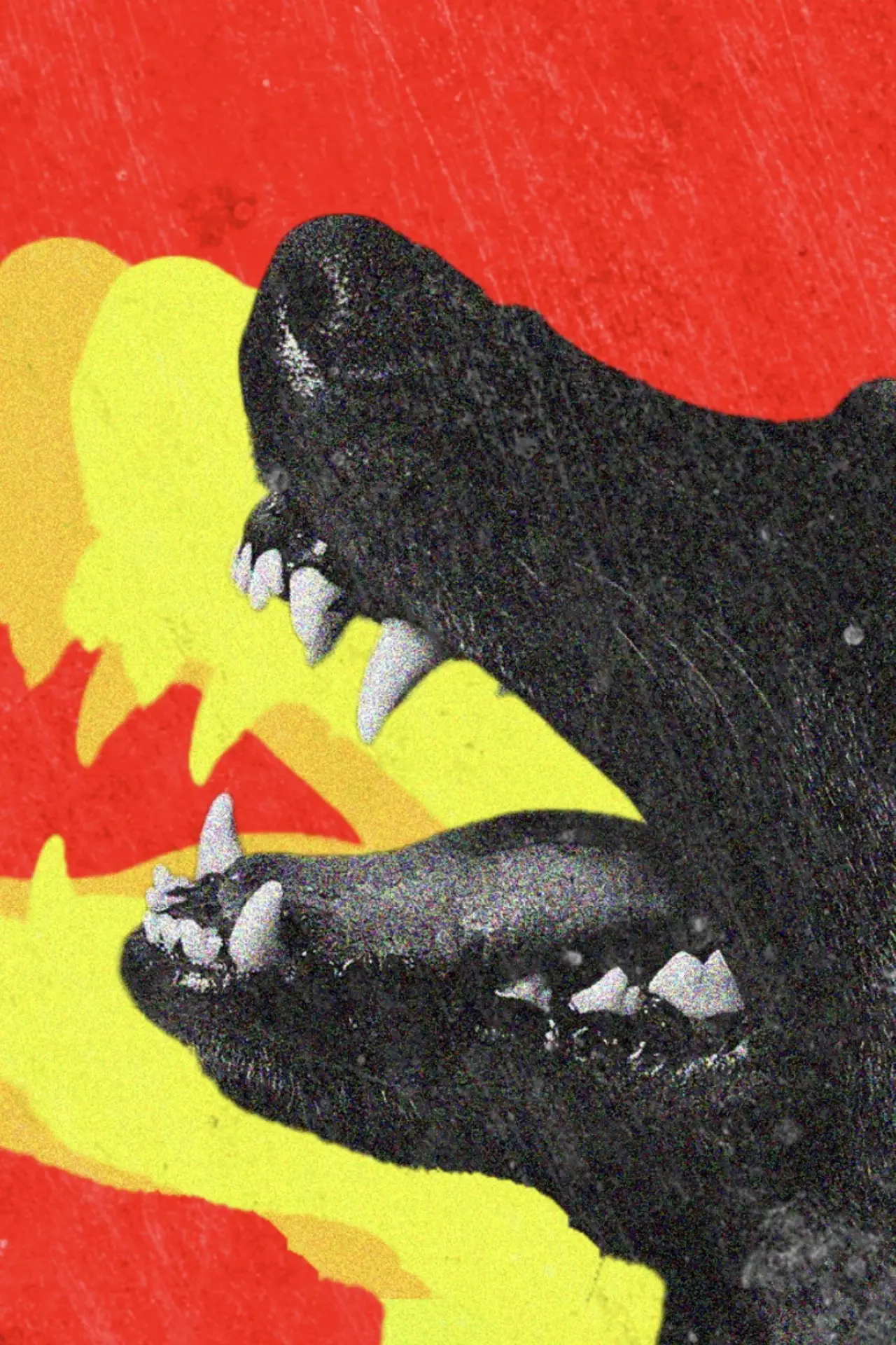 Movie poster "DOGTOOTH"
