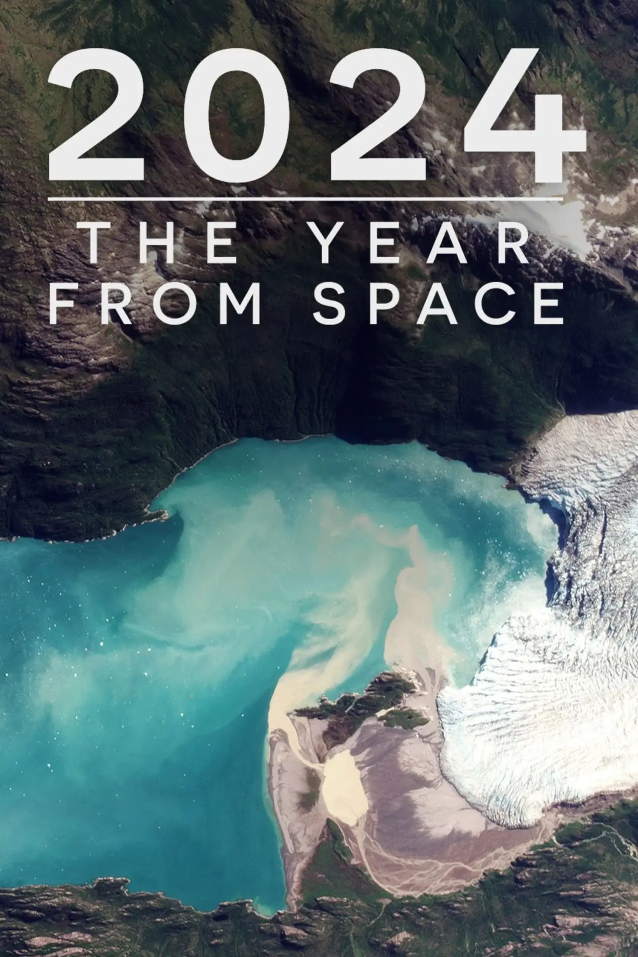 Movie poster "2024: The Year From Space"