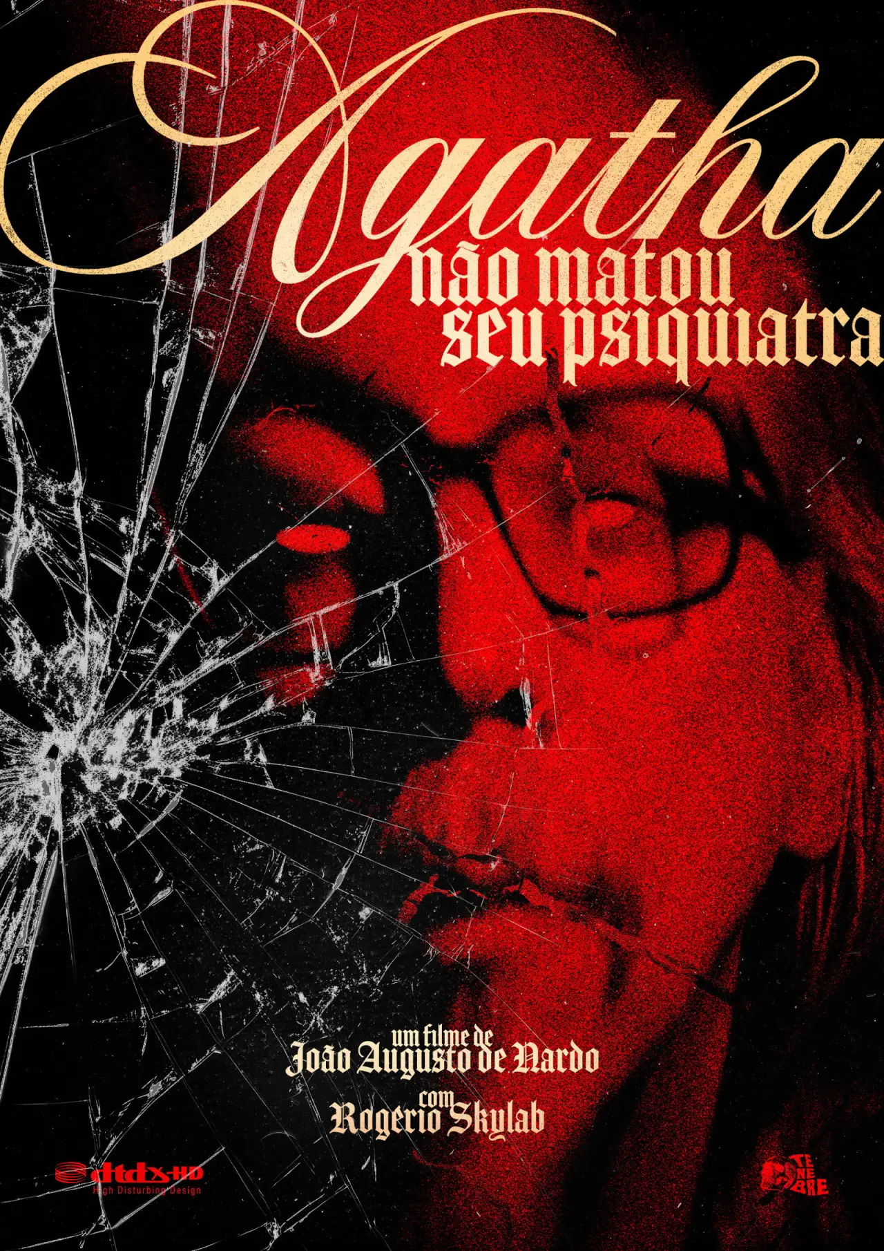 Movie poster "Agatha Didn