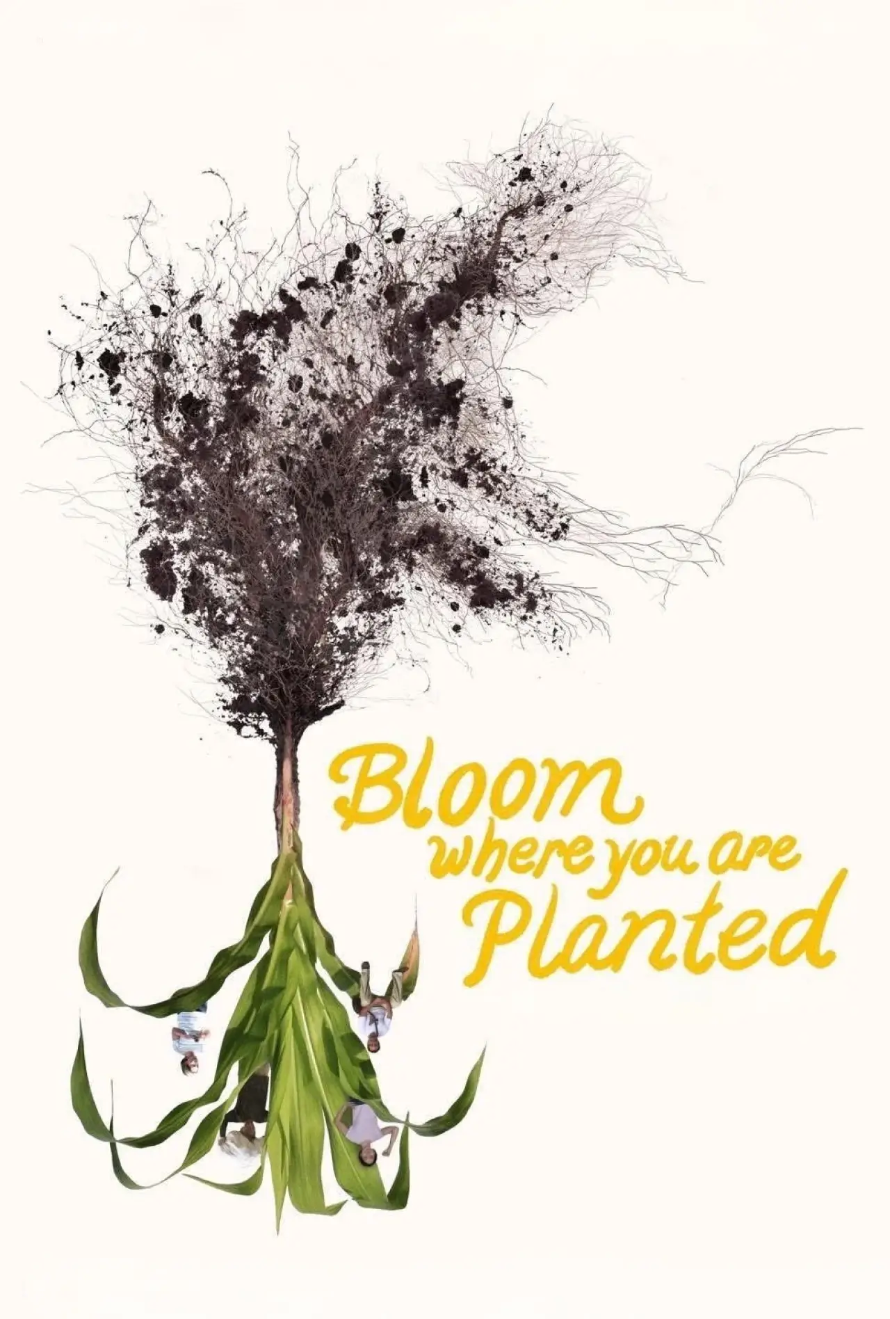 Movie poster "Bloom Where You Are Planted"