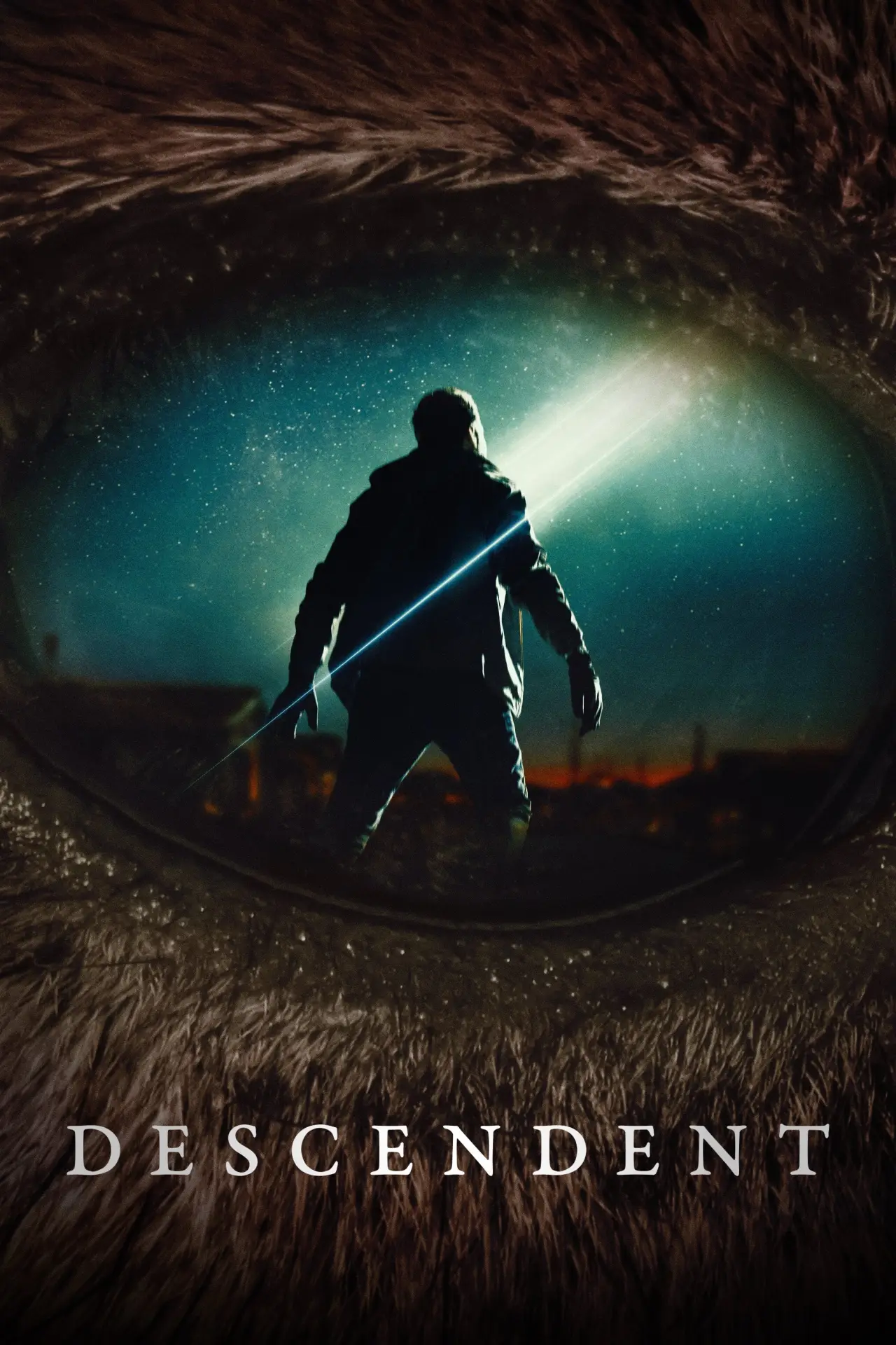 Movie poster "Descendent"