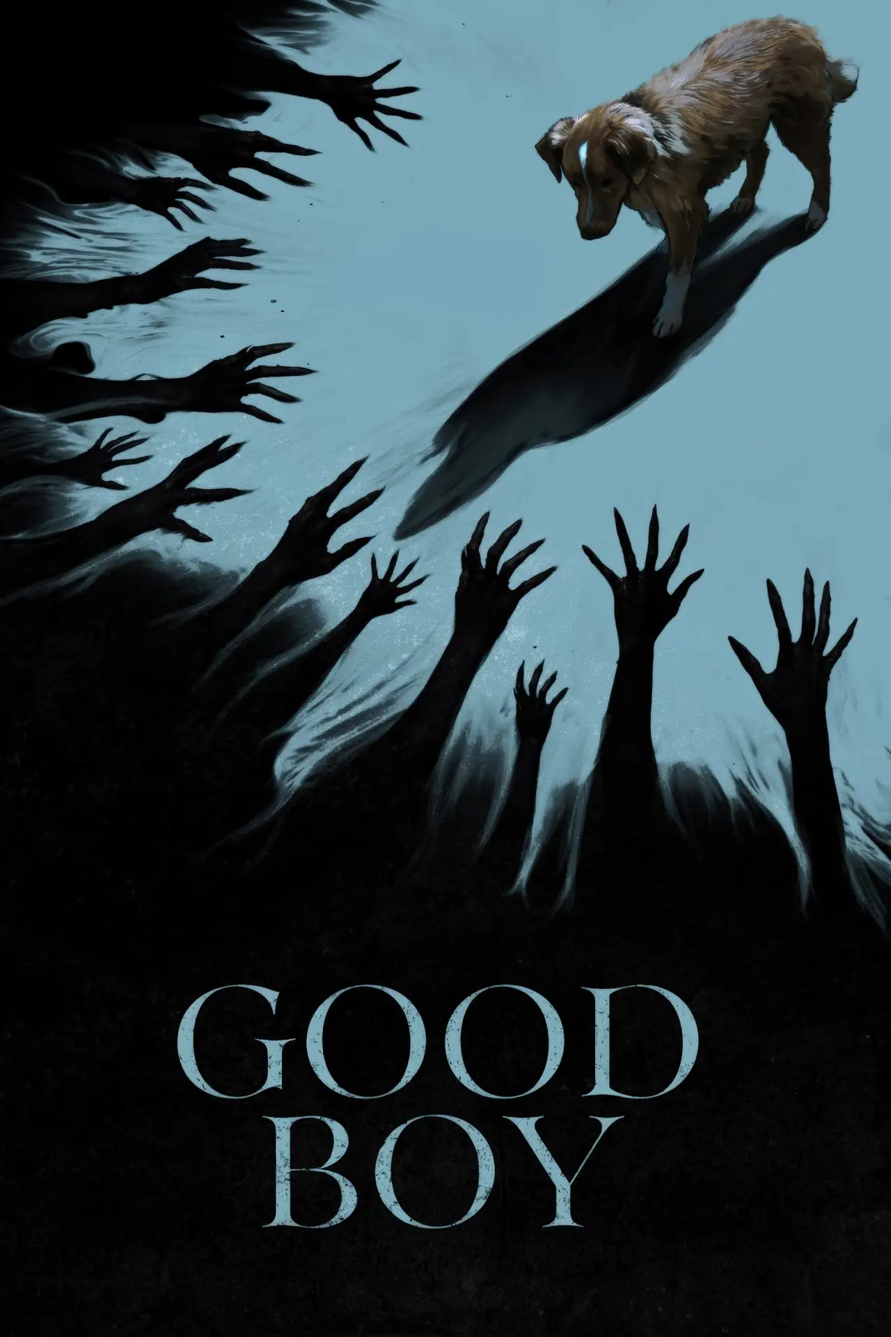 Movie poster "Good Boy"
