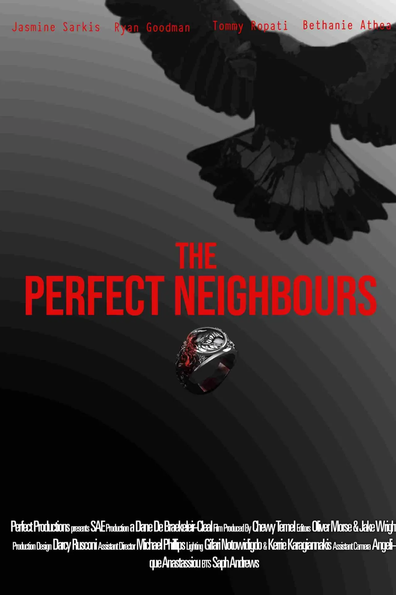 Movie poster "The Perfect Neighbours"