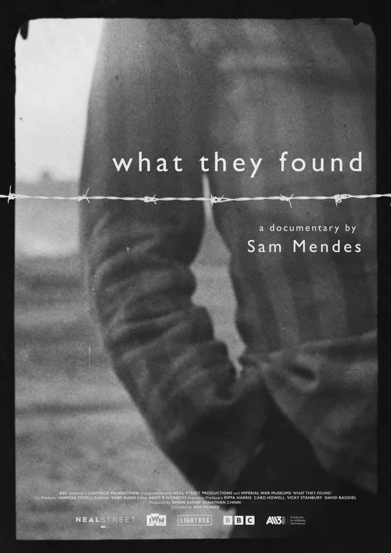 Movie poster "What They Found"