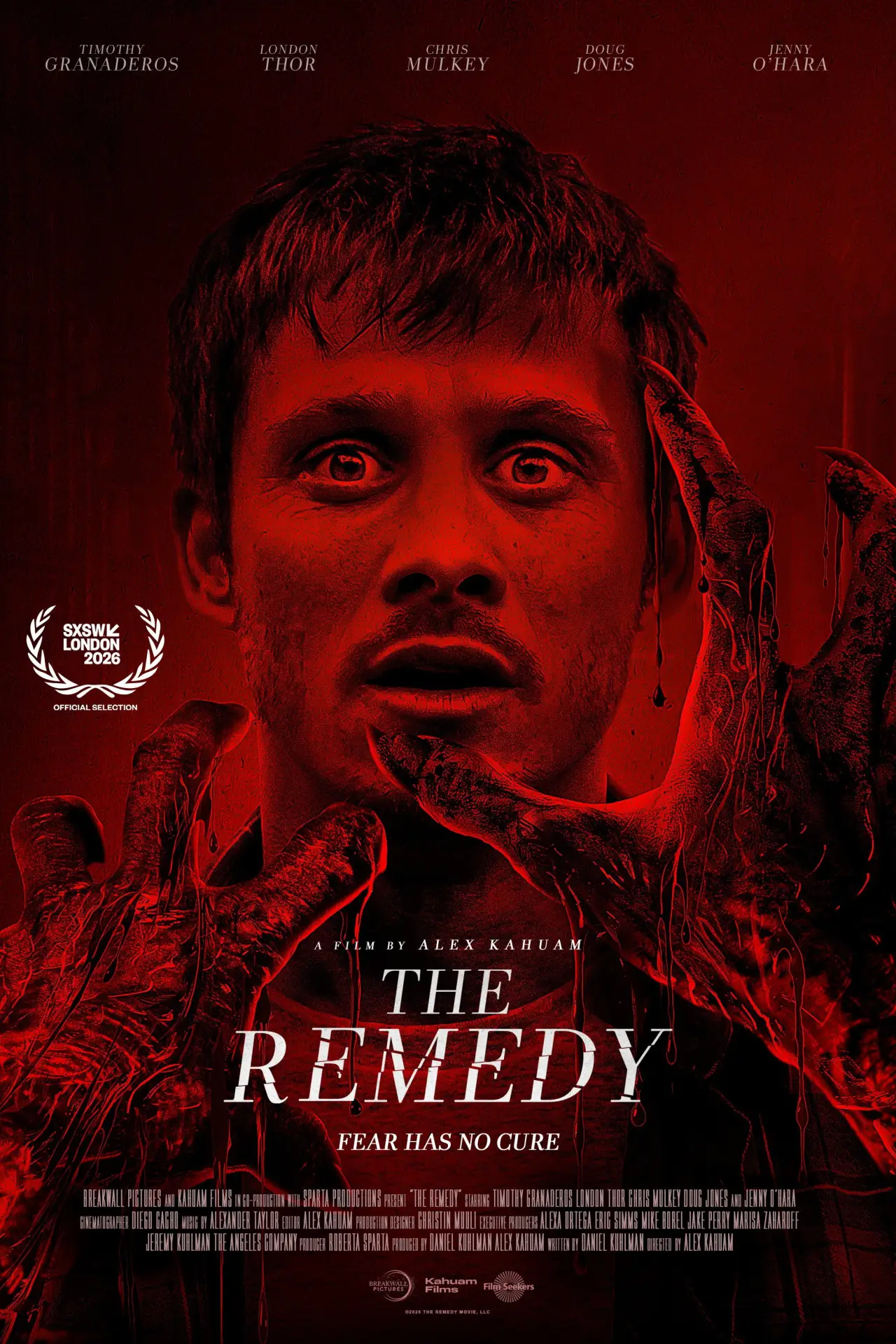 Movie poster "The Remedy"