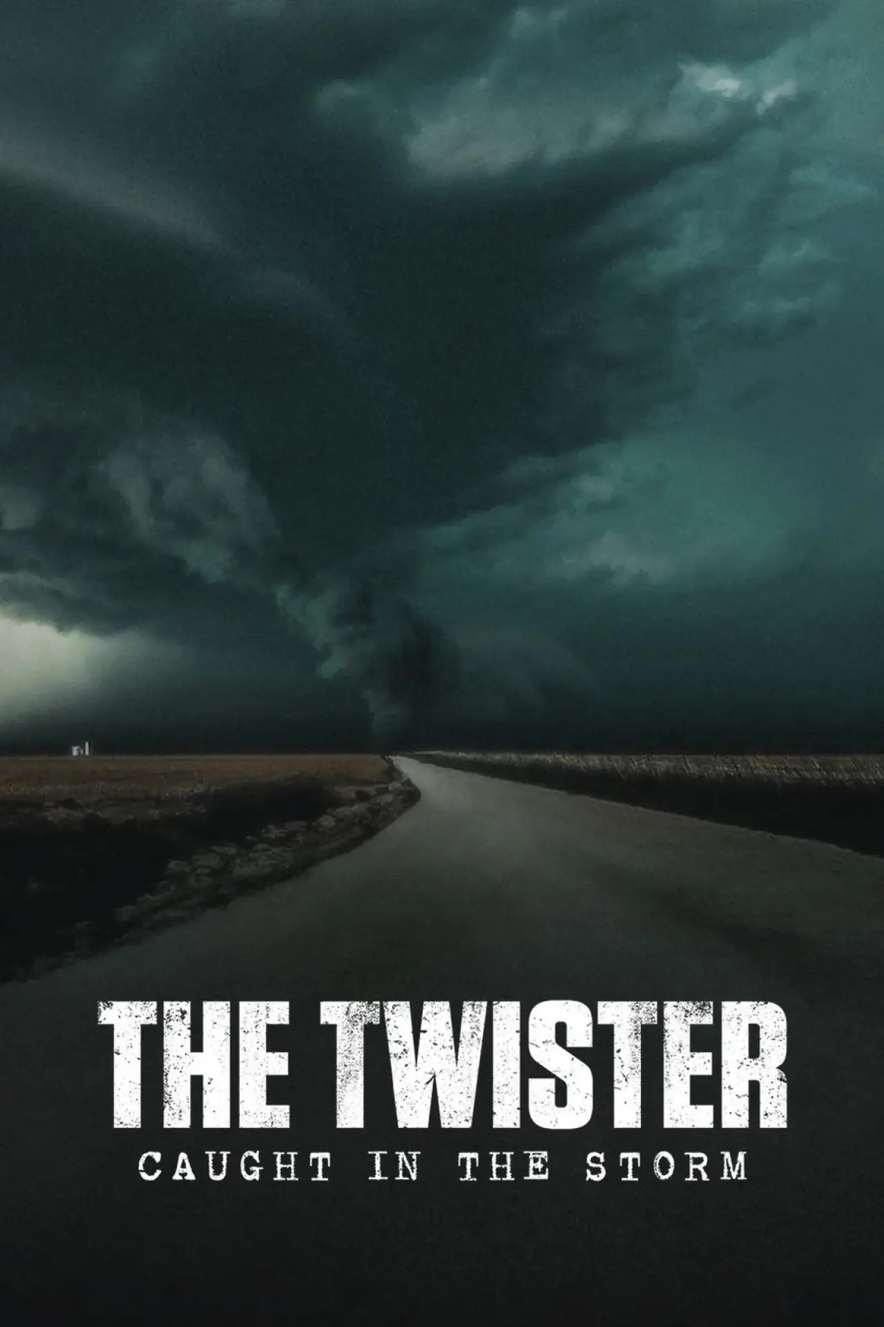 Movie poster "The Twister: Caught in the Storm"