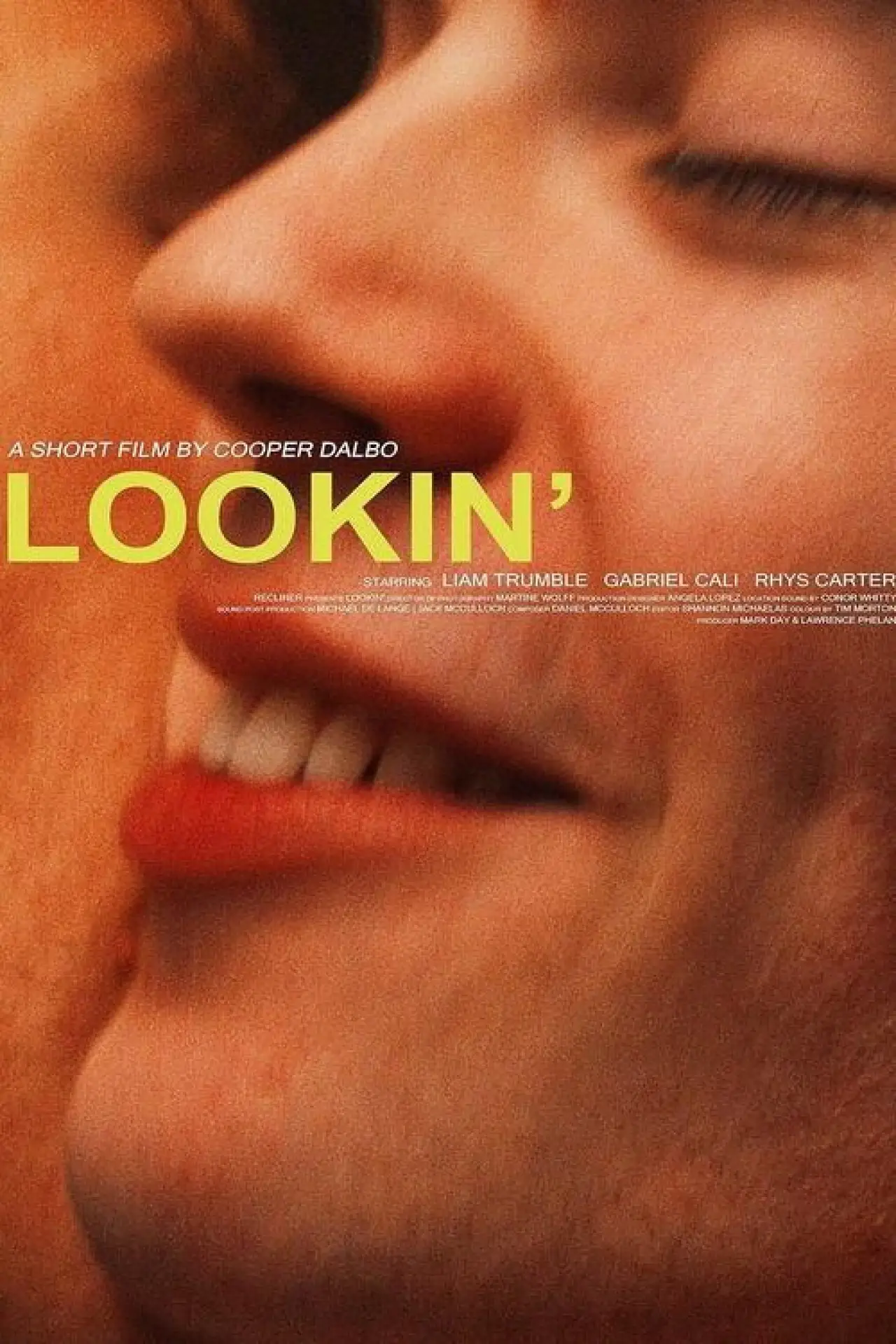 Movie poster "Lookin