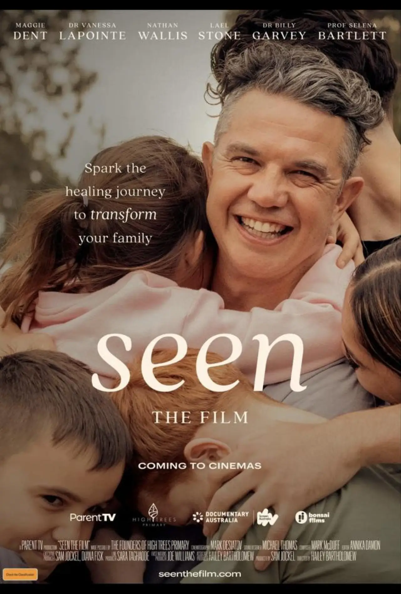 Movie poster "Seen"