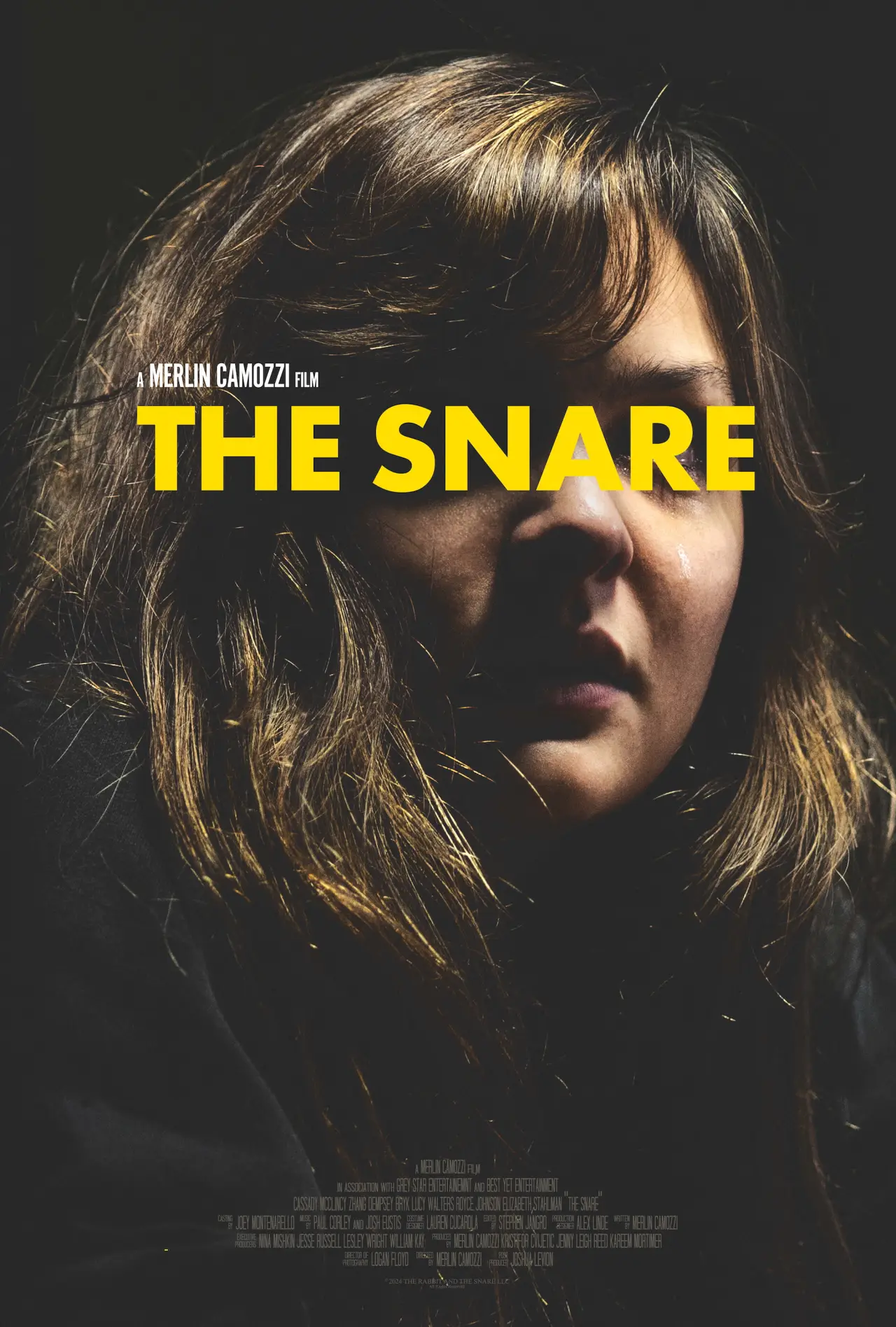 Movie poster "The Snare"