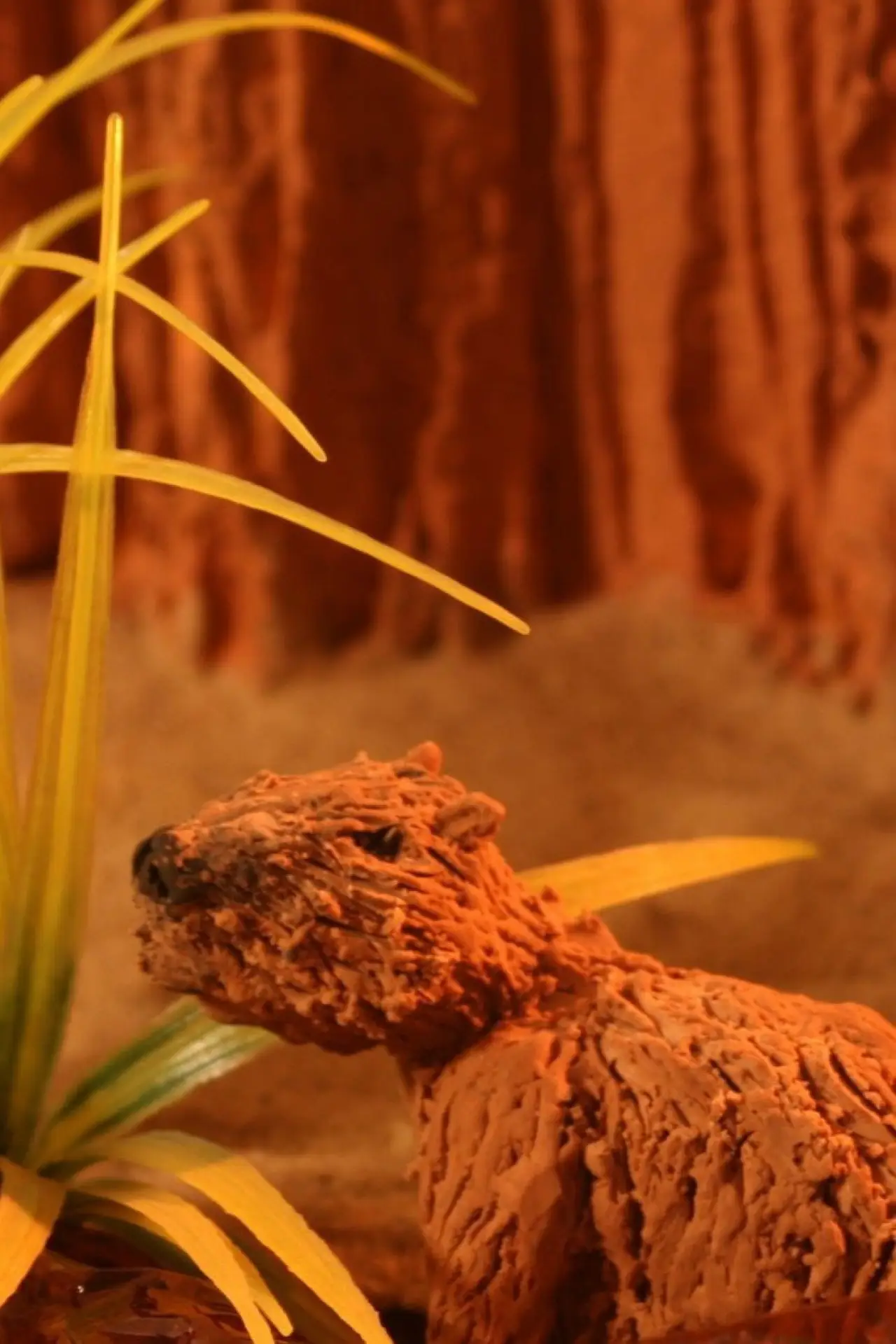 Movie poster "Capibara"