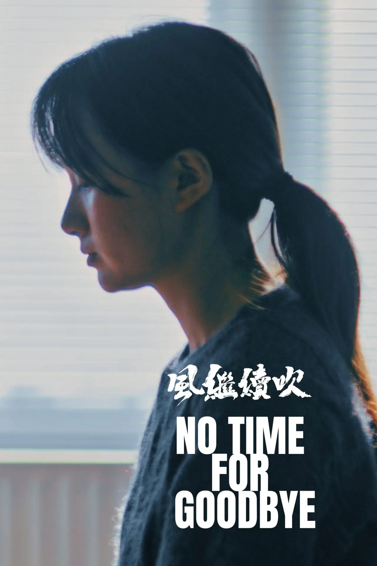 Movie poster "No Time For Goodbye"