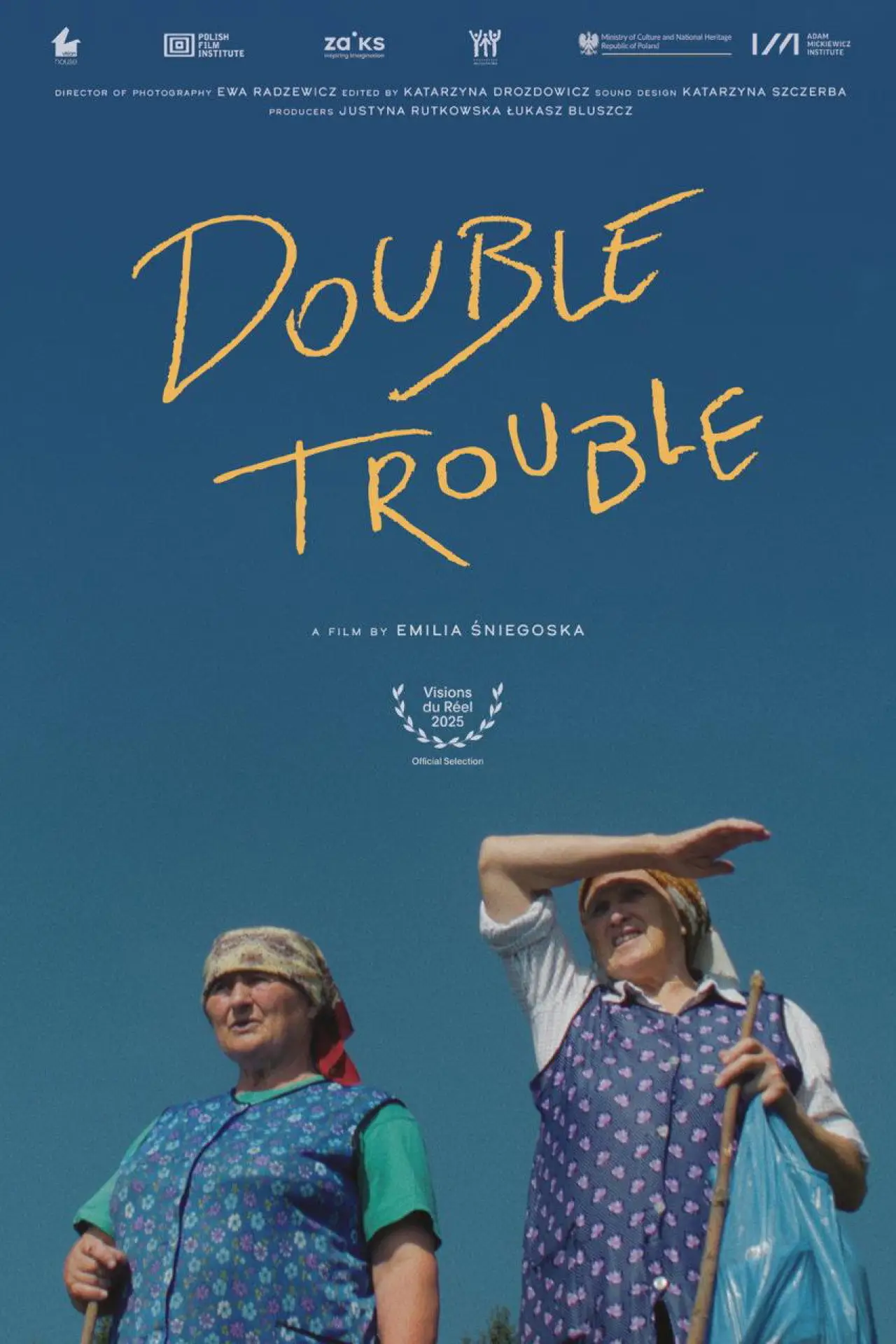 Movie poster "Double Trouble"