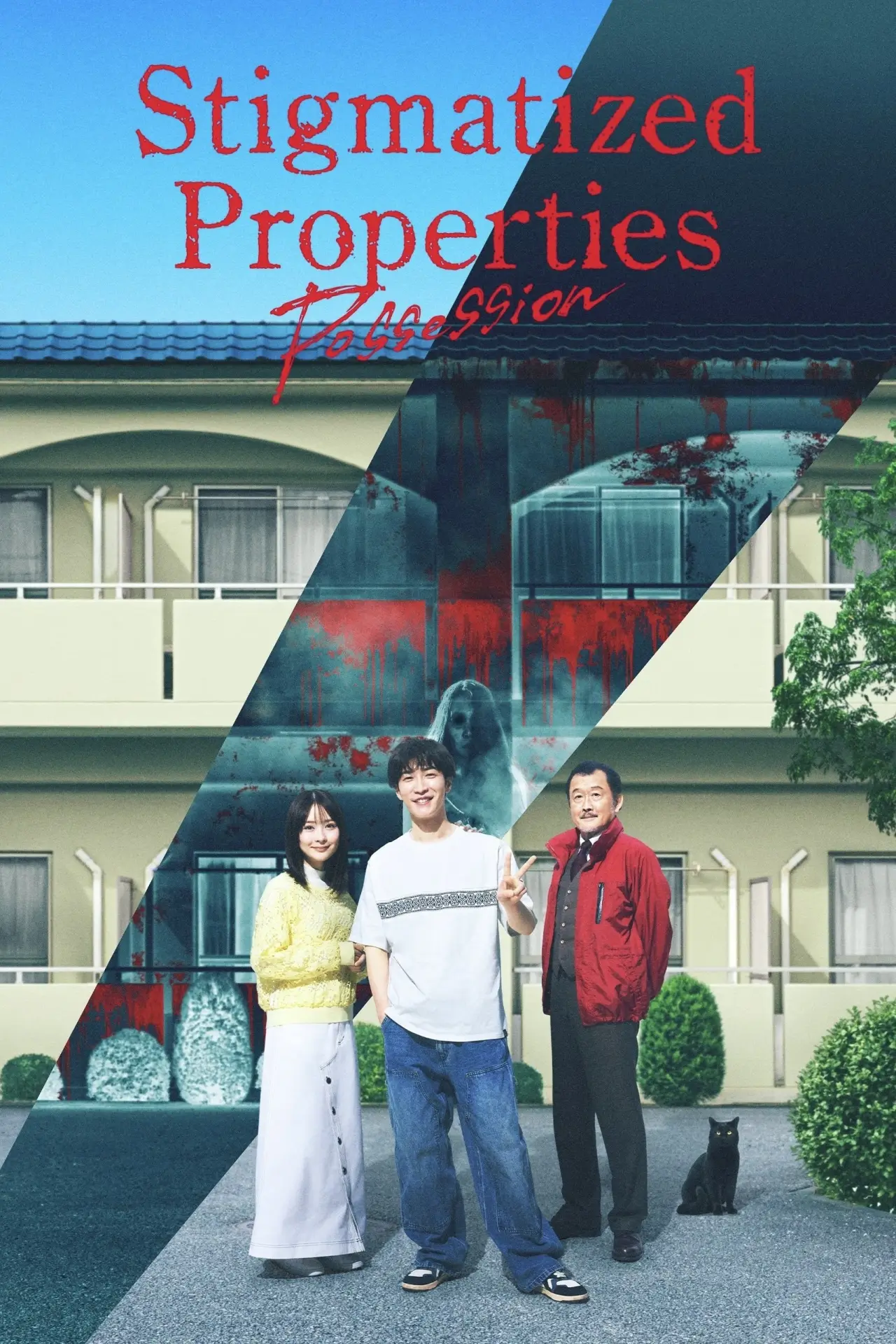 Movie poster "Stigmatized Properties: Possession"