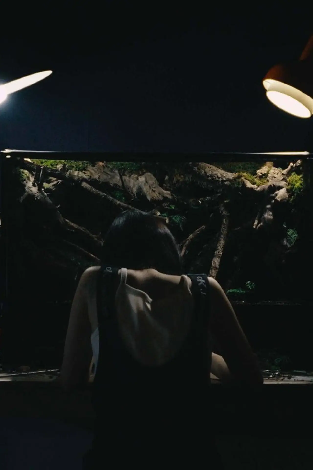 Movie poster "Umwelt"