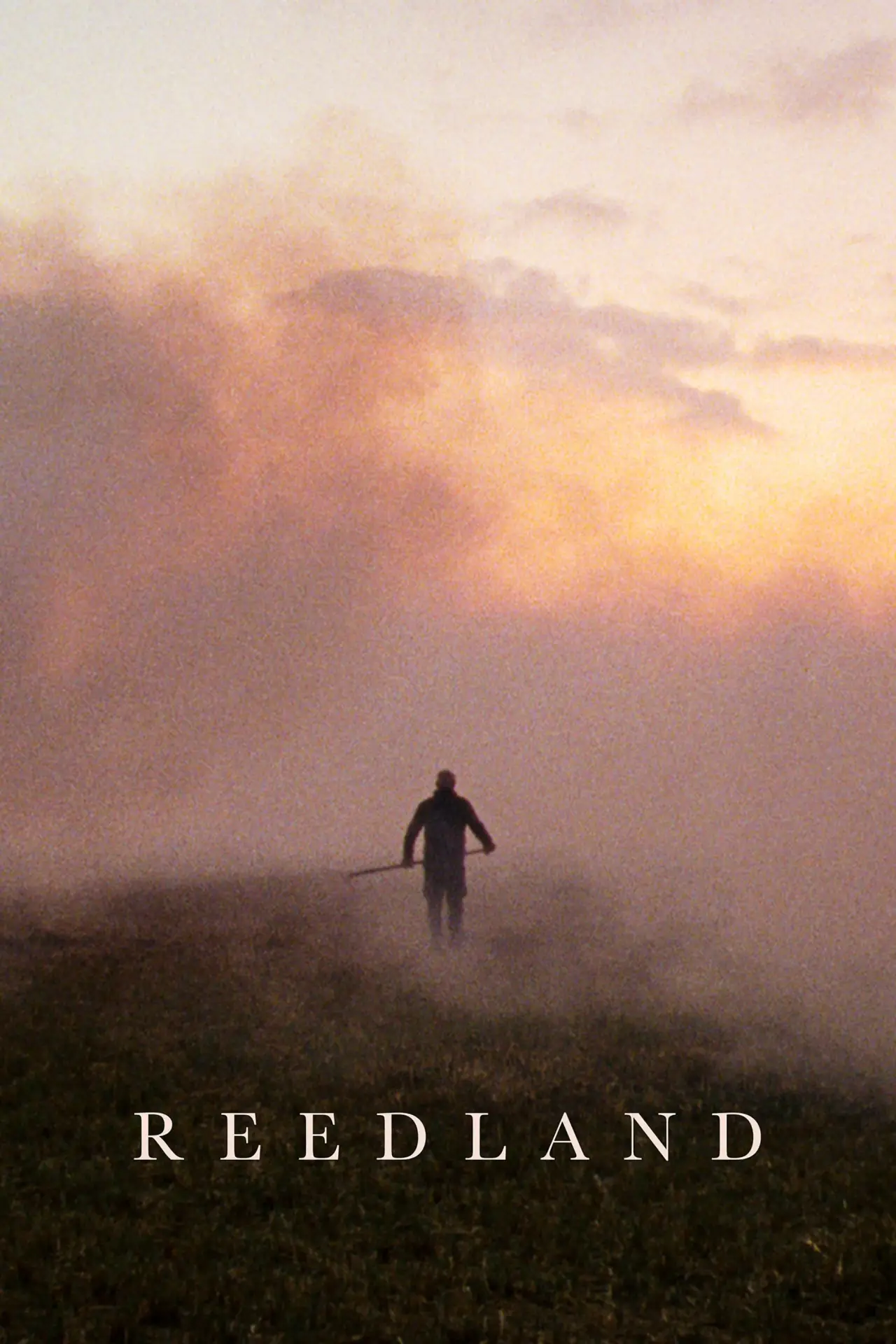 Movie poster "Reedland"
