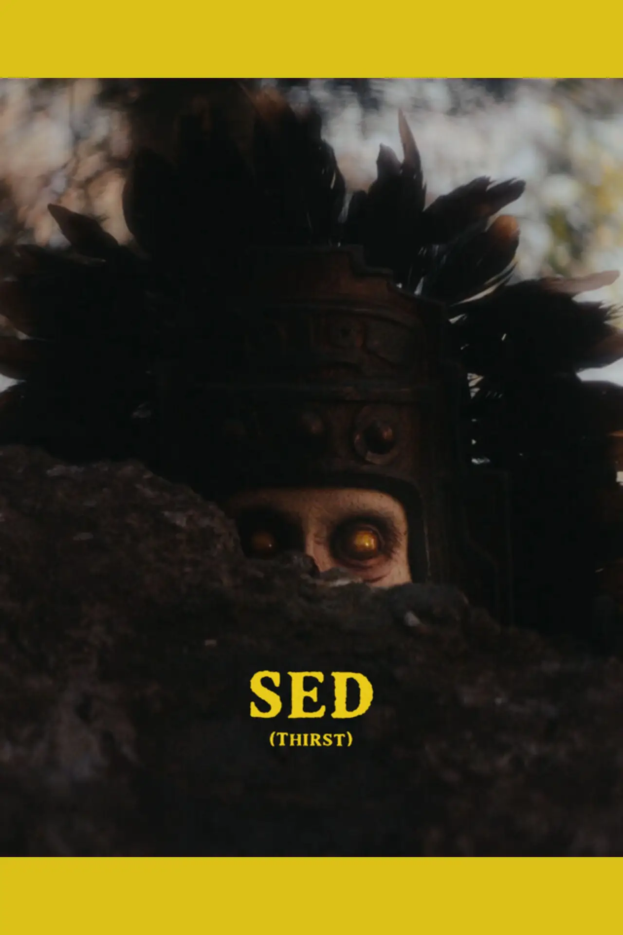 Movie poster "SED"
