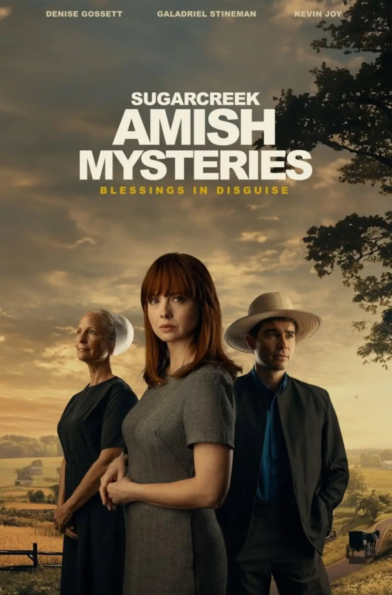 Movie poster "Sugarcreek Amish Mysteries: Blessings in Disguise"