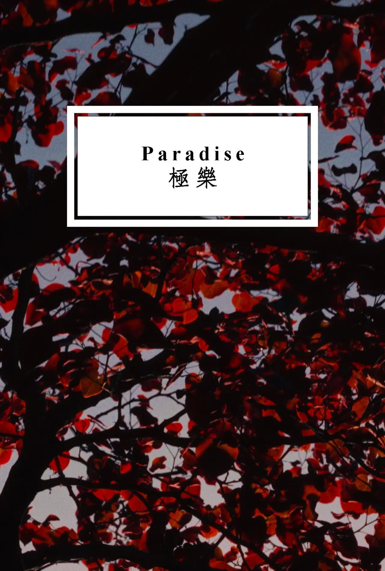 Movie poster "Paradise"