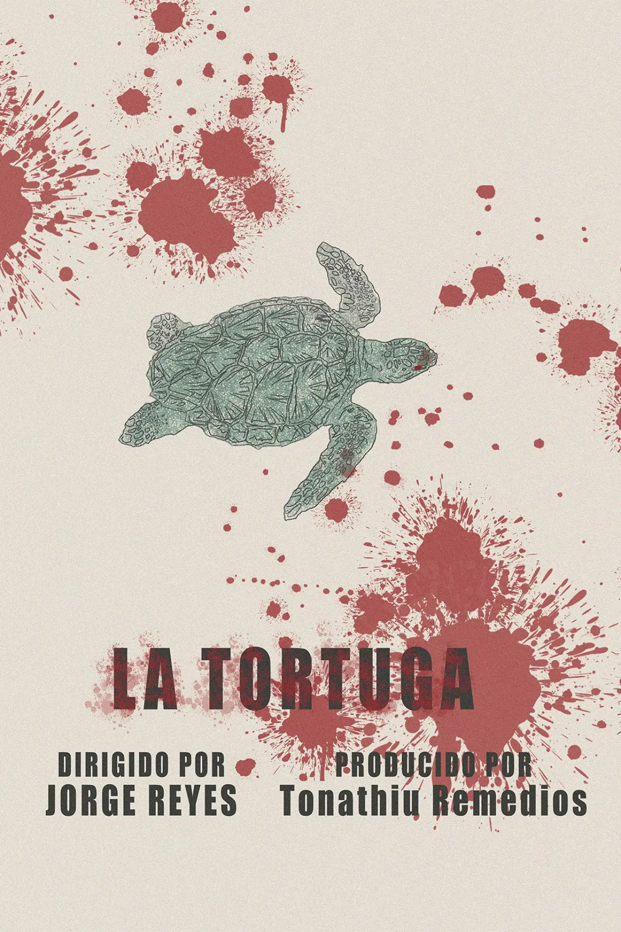 Movie poster "The Turtle"