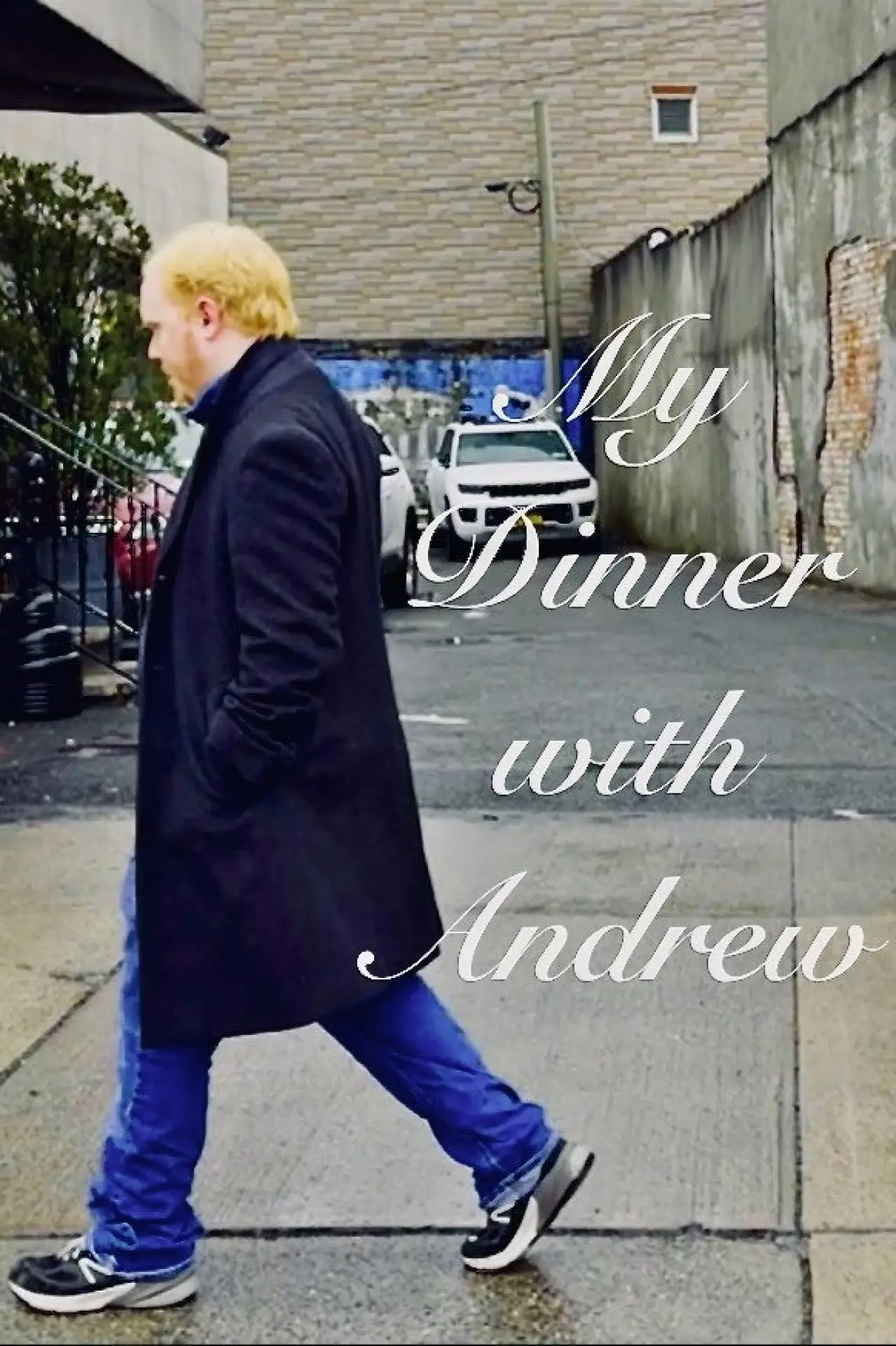 Movie poster "My Dinner with Andrew"