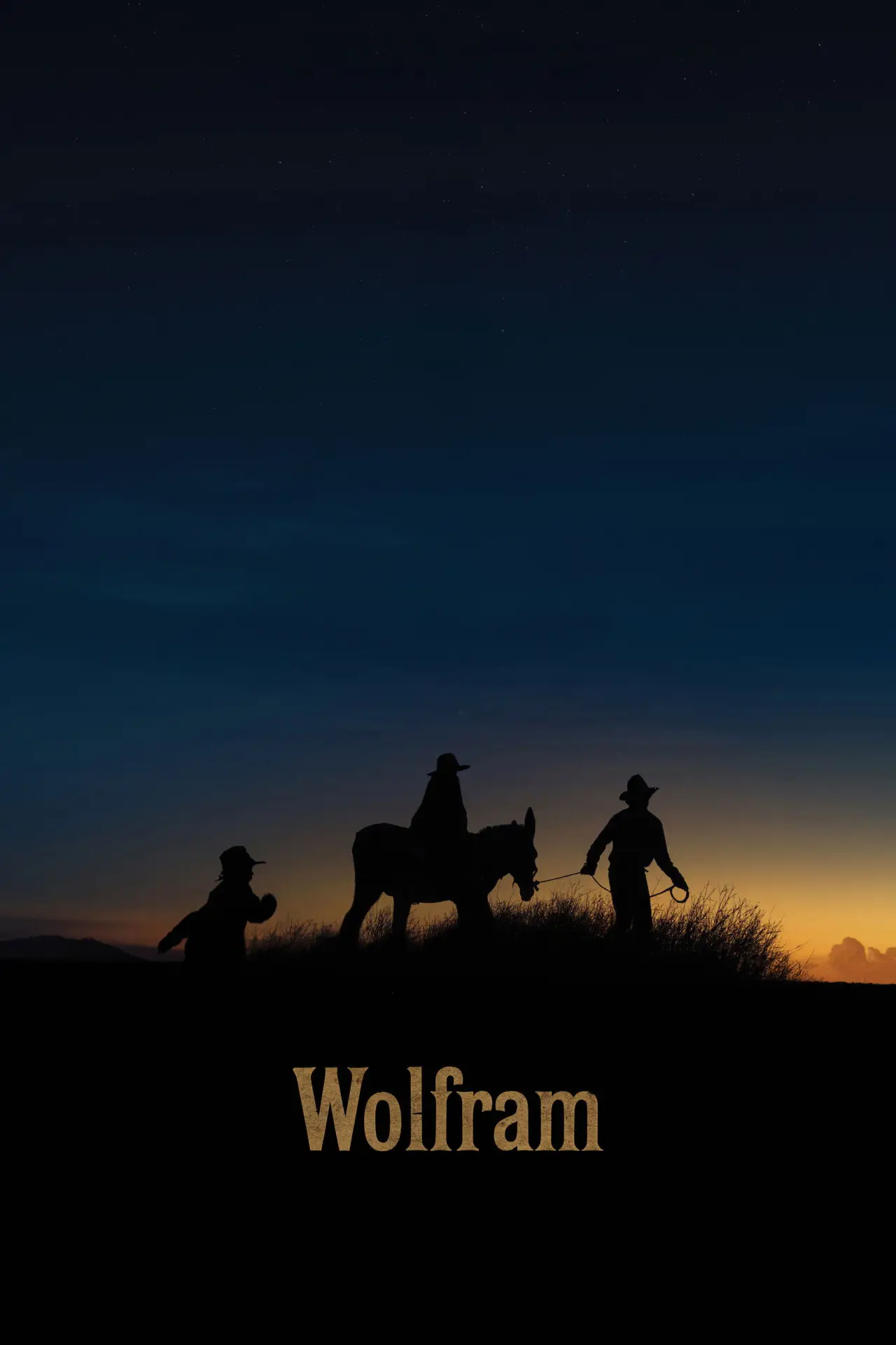 Movie poster "Wolfram"