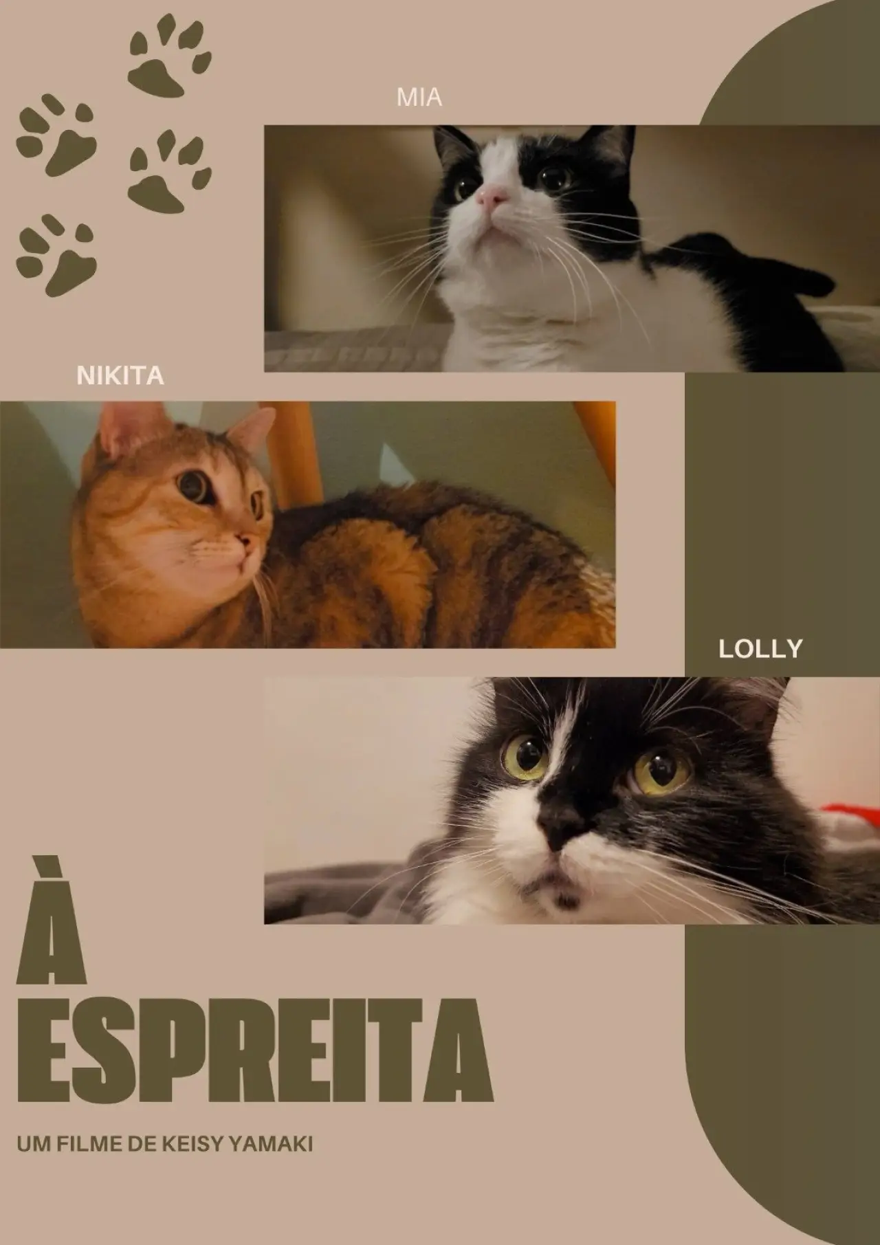 Movie poster "À Espreita"