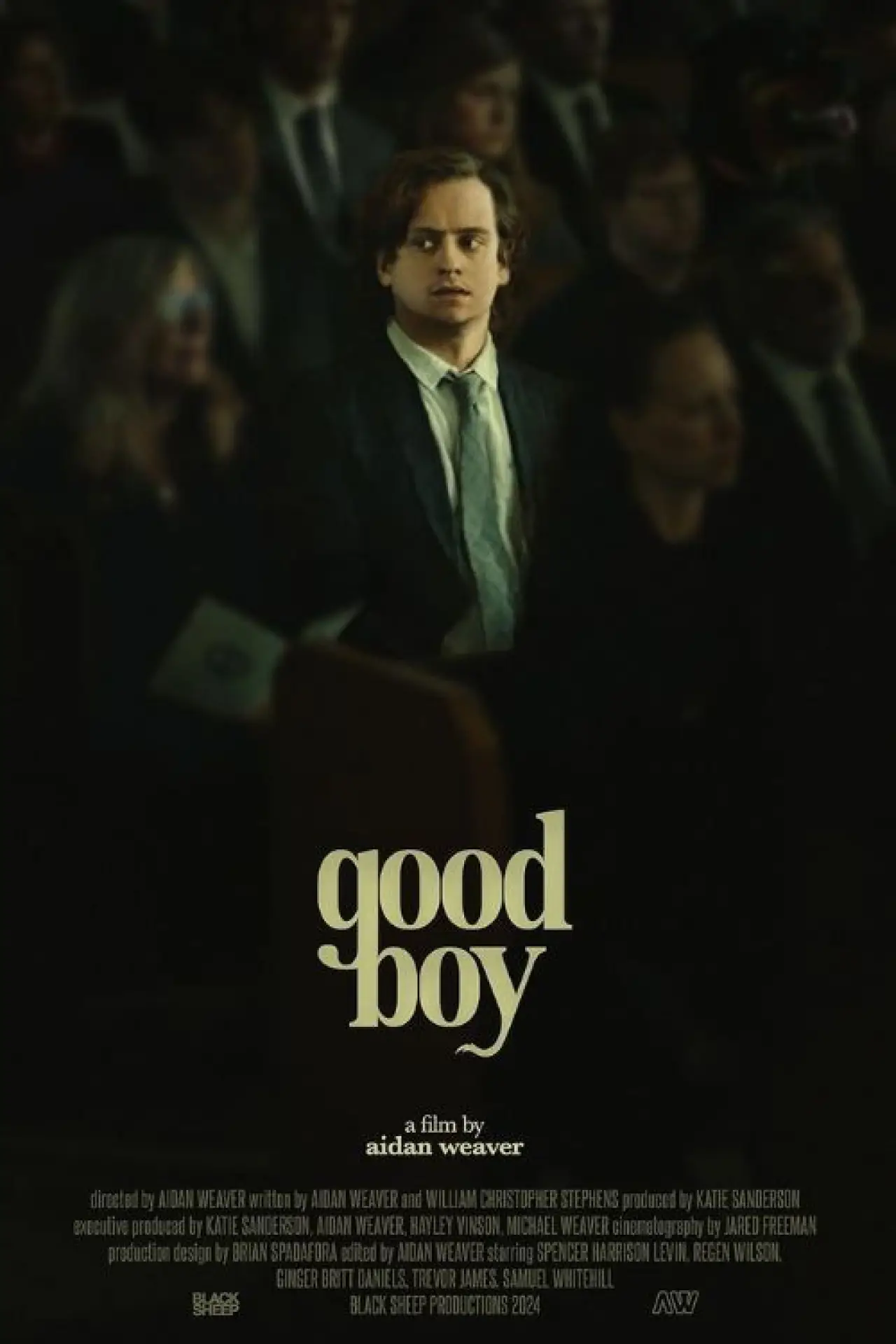 Movie poster "Good Boy"