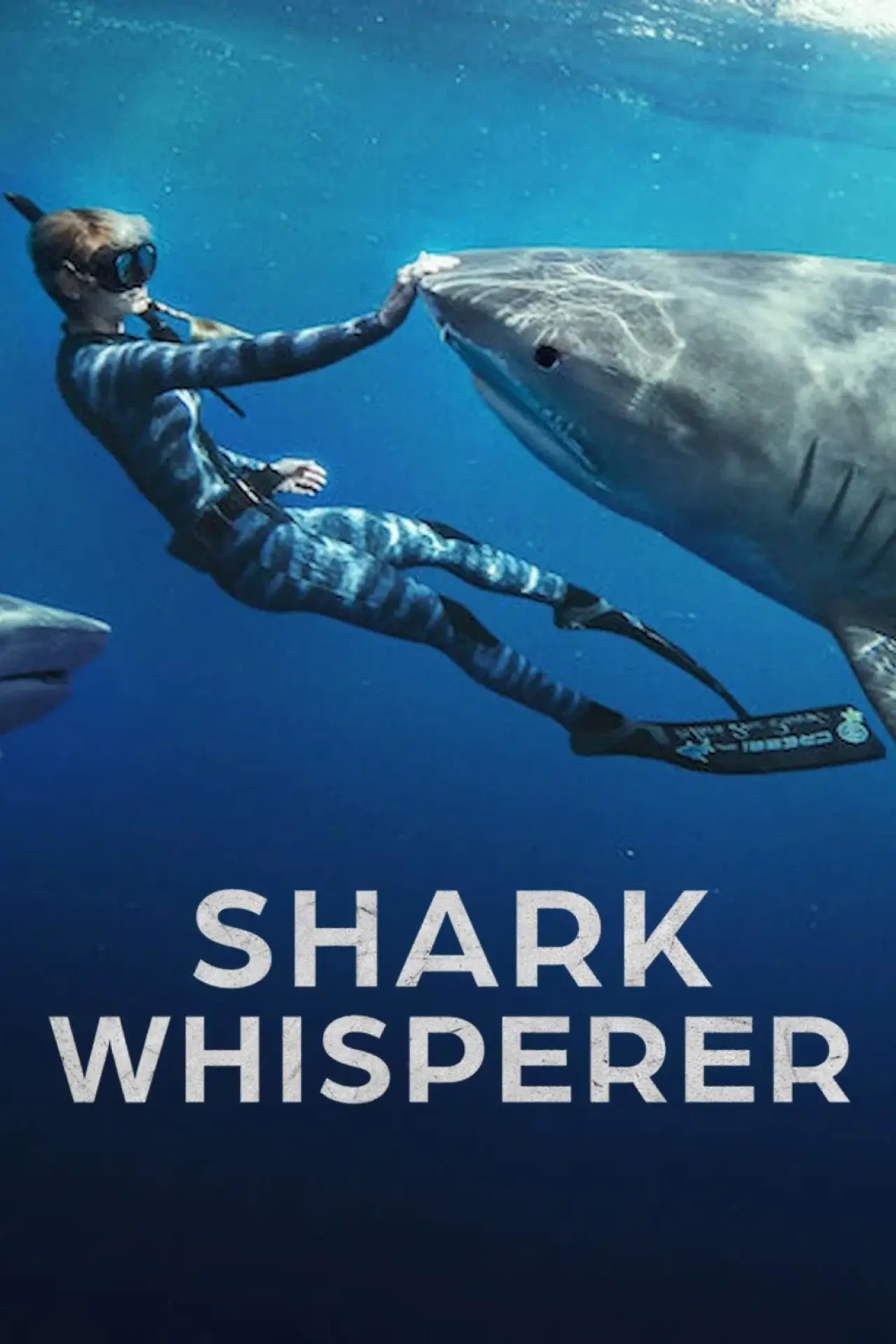 Movie poster "Shark Whisperer"