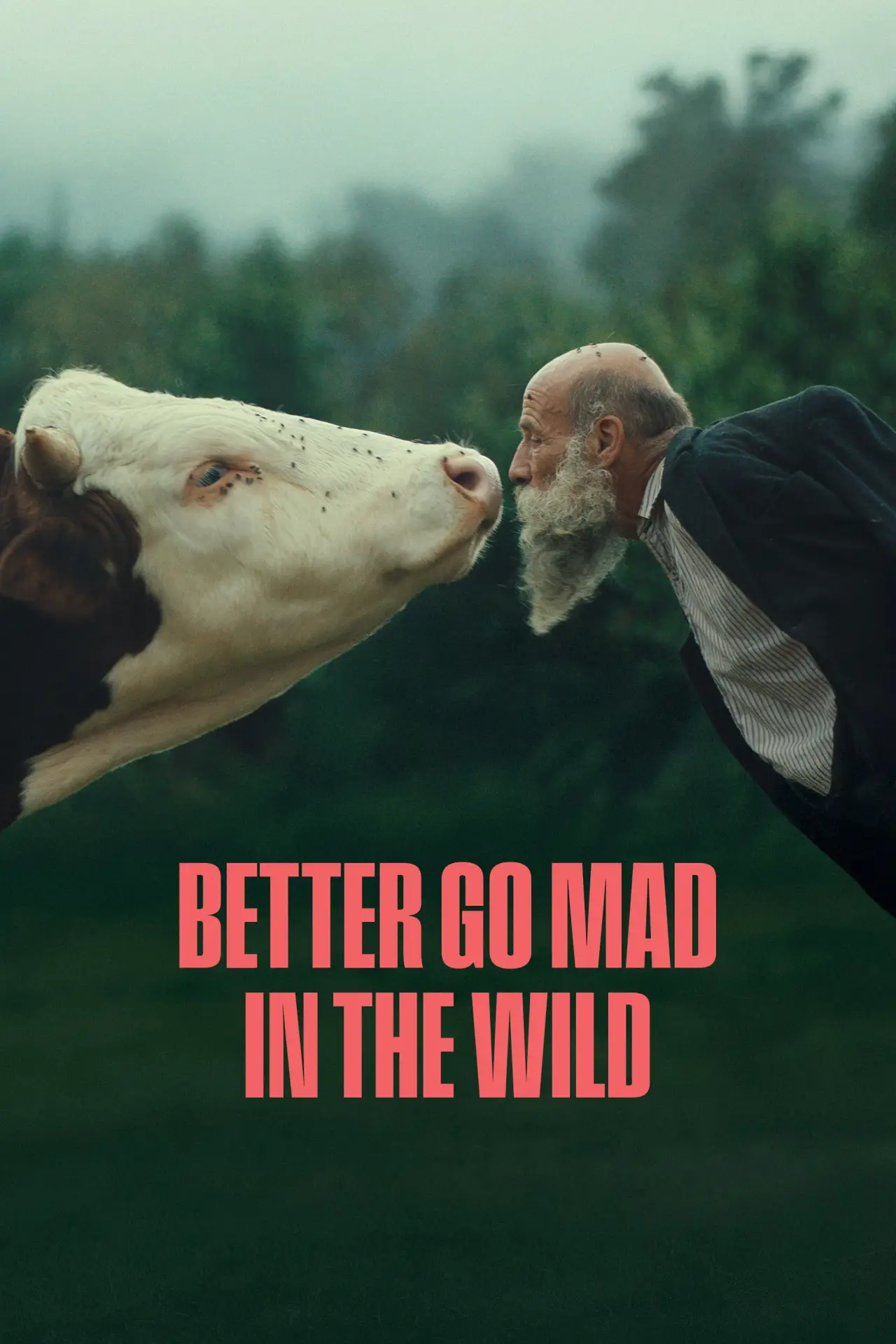 Movie poster "Better Go Mad in the Wild"