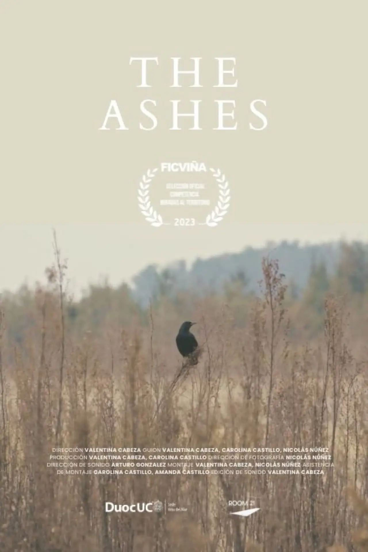 Movie poster "The Ashes"