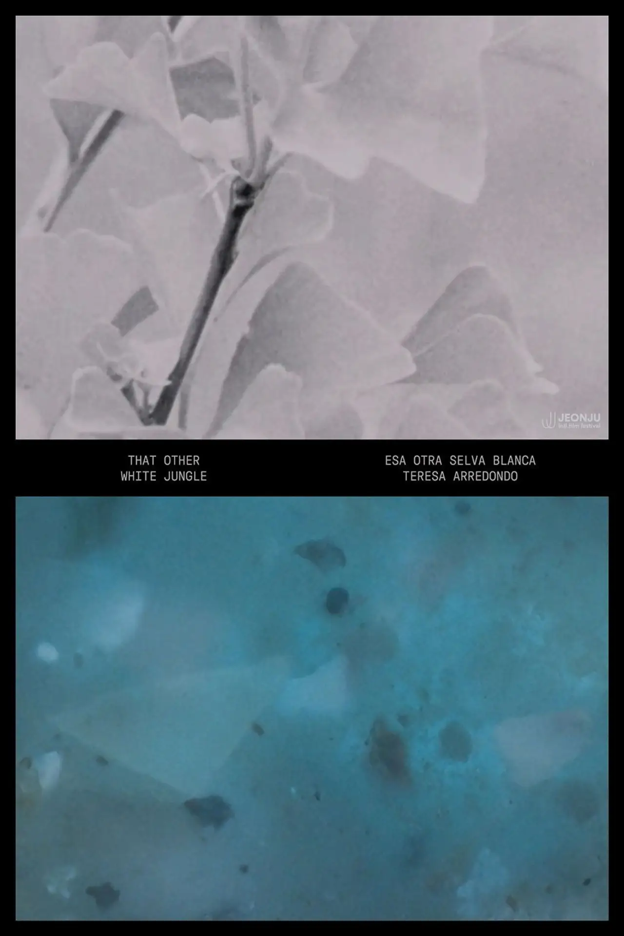 Movie poster "That Other White Jungle"