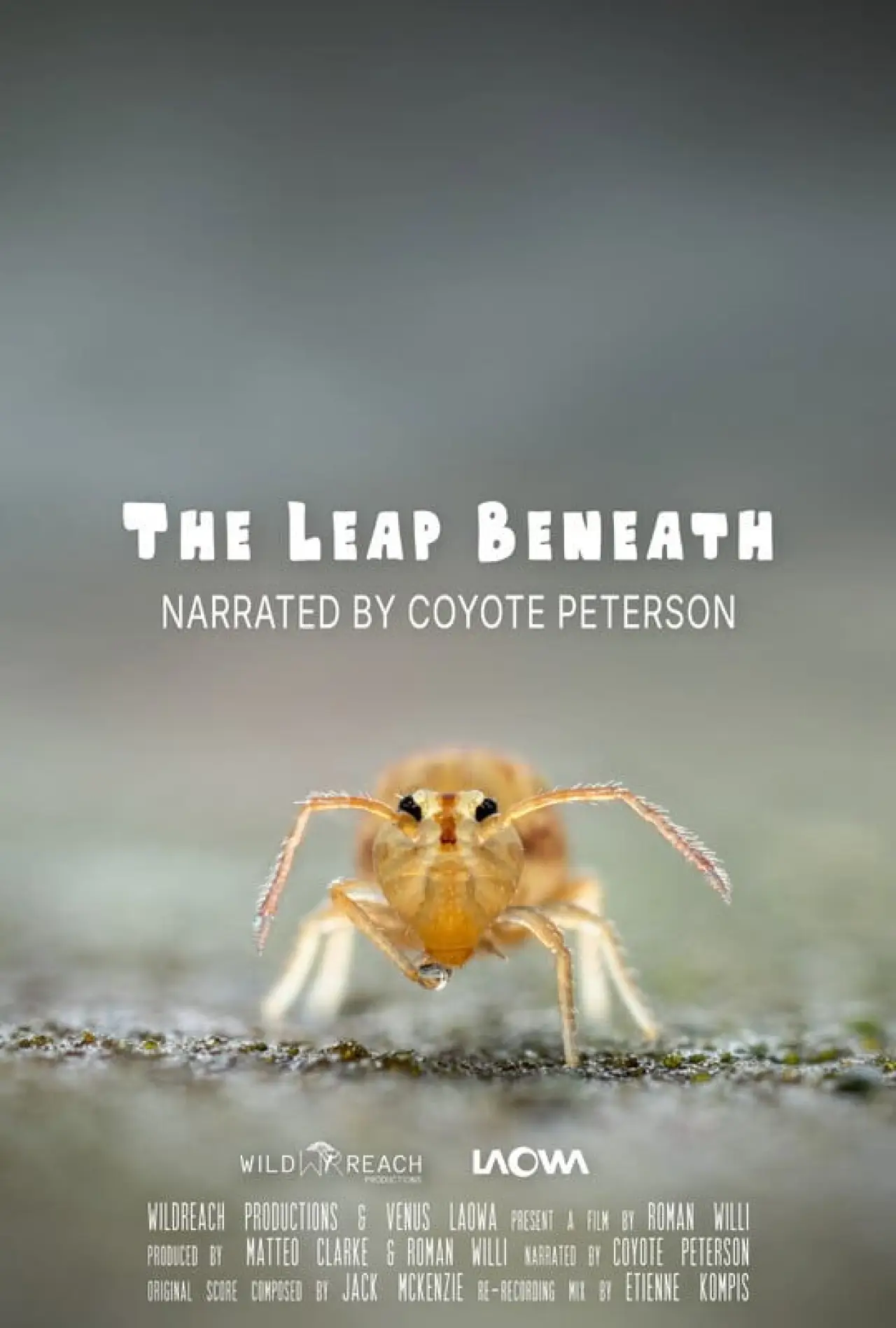 Movie poster "The Leap Beneath"