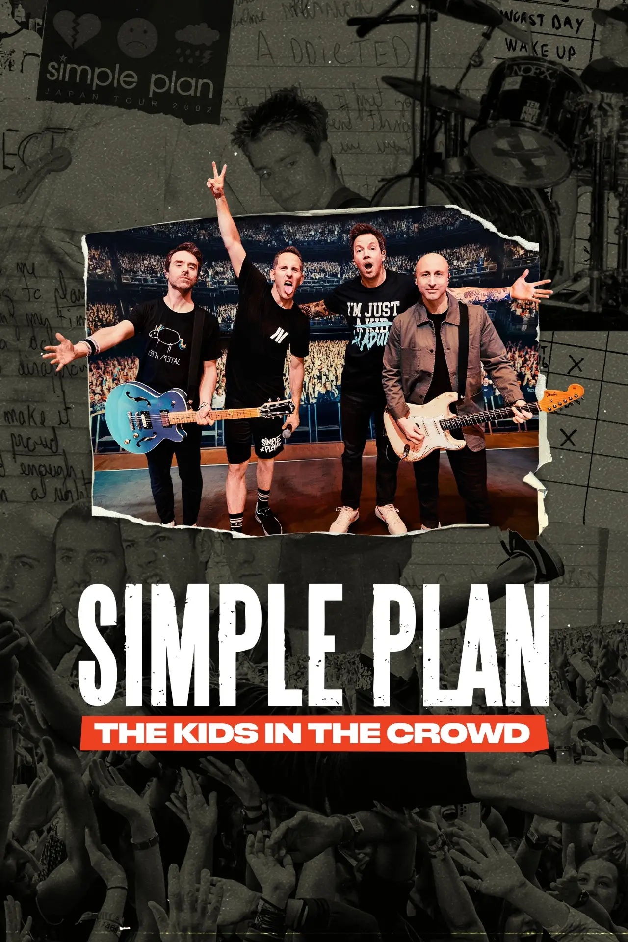 Movie poster "Simple Plan: The Kids in the Crowd"