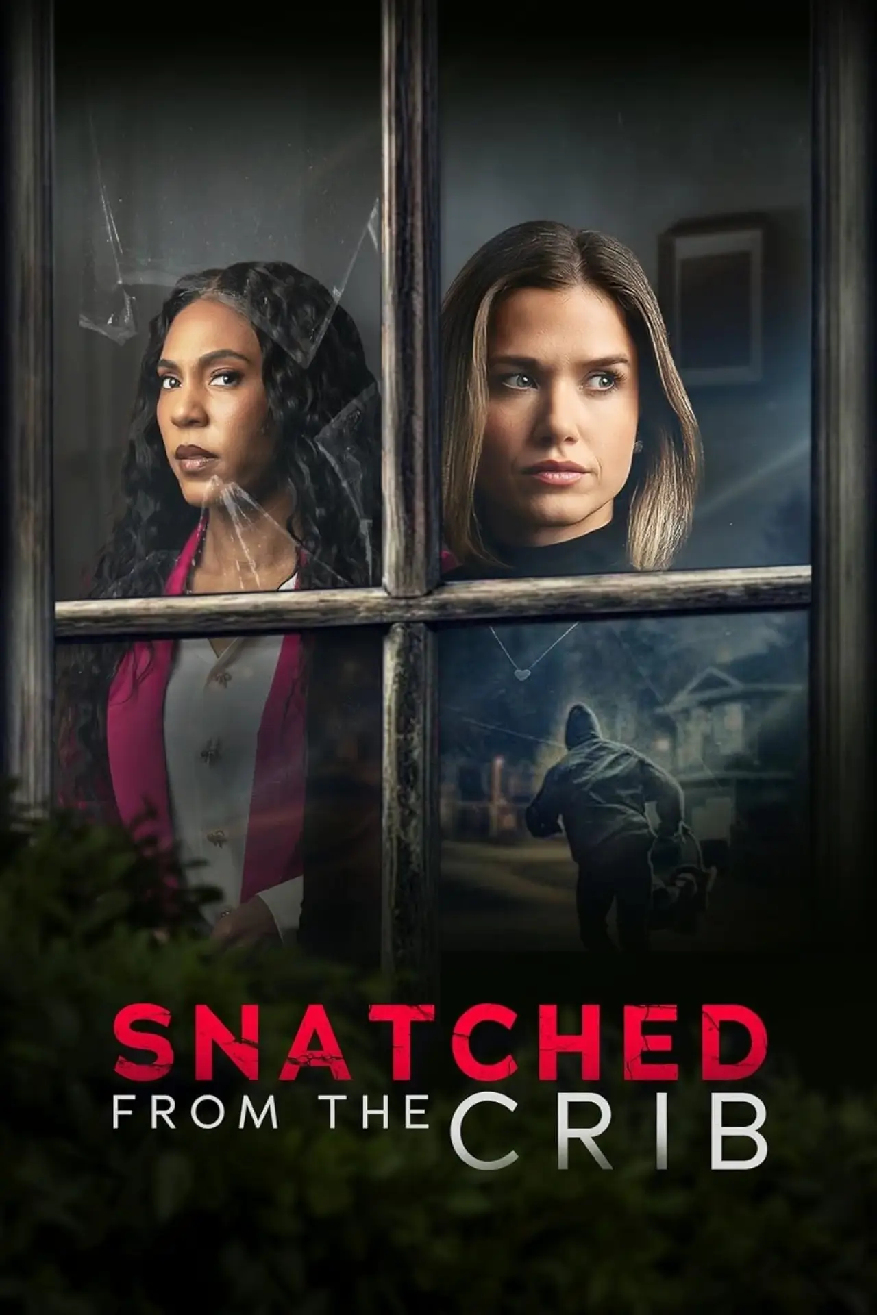 Movie poster "Snatched From The Crib"